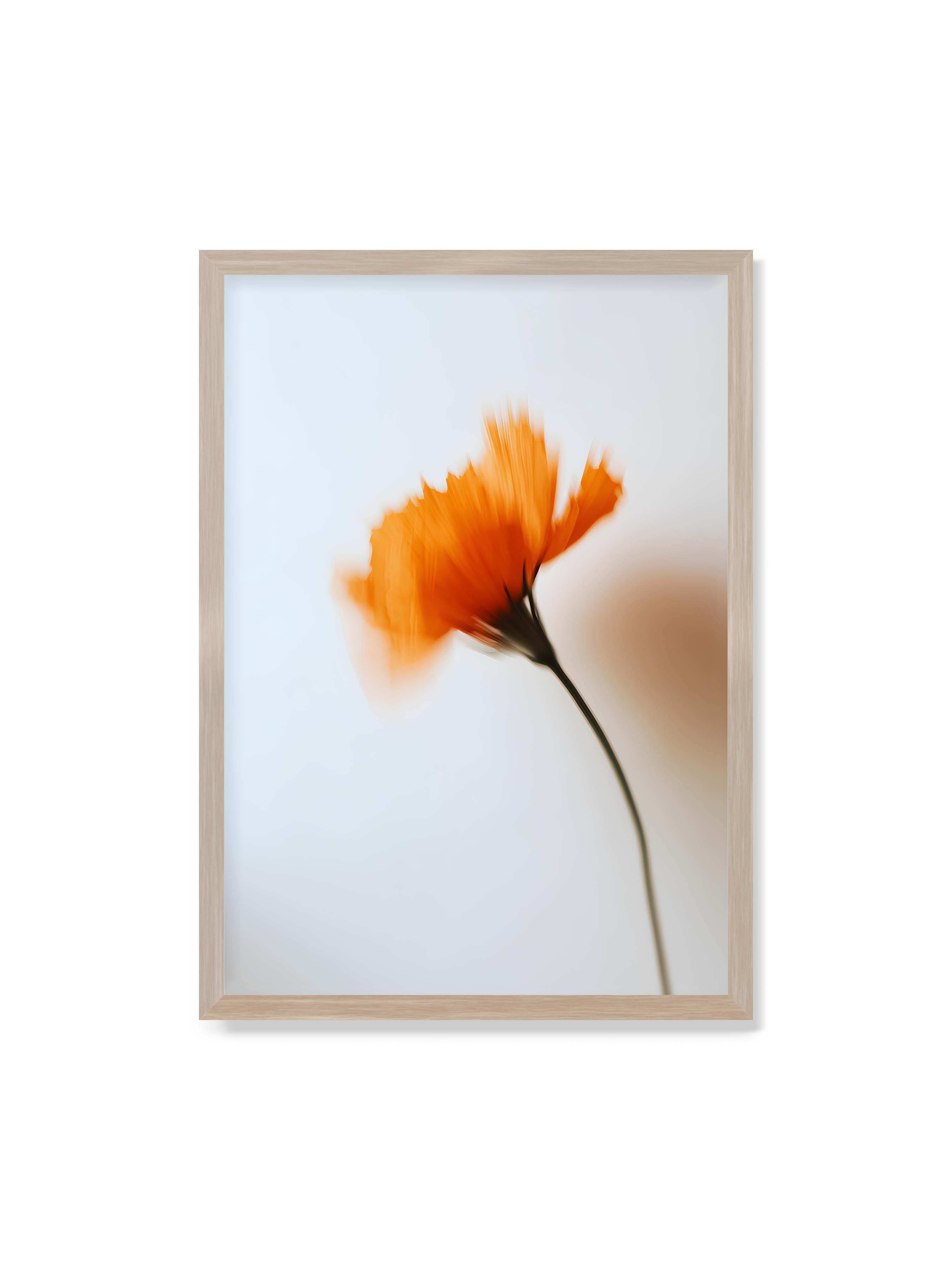 70x100 cm ohne Galerie-Rand im Eichenrahmen – Orange Blüte mit starker Bewegungsunschärfe vor hellem Hintergrund, dunkler schlanker Stiel.