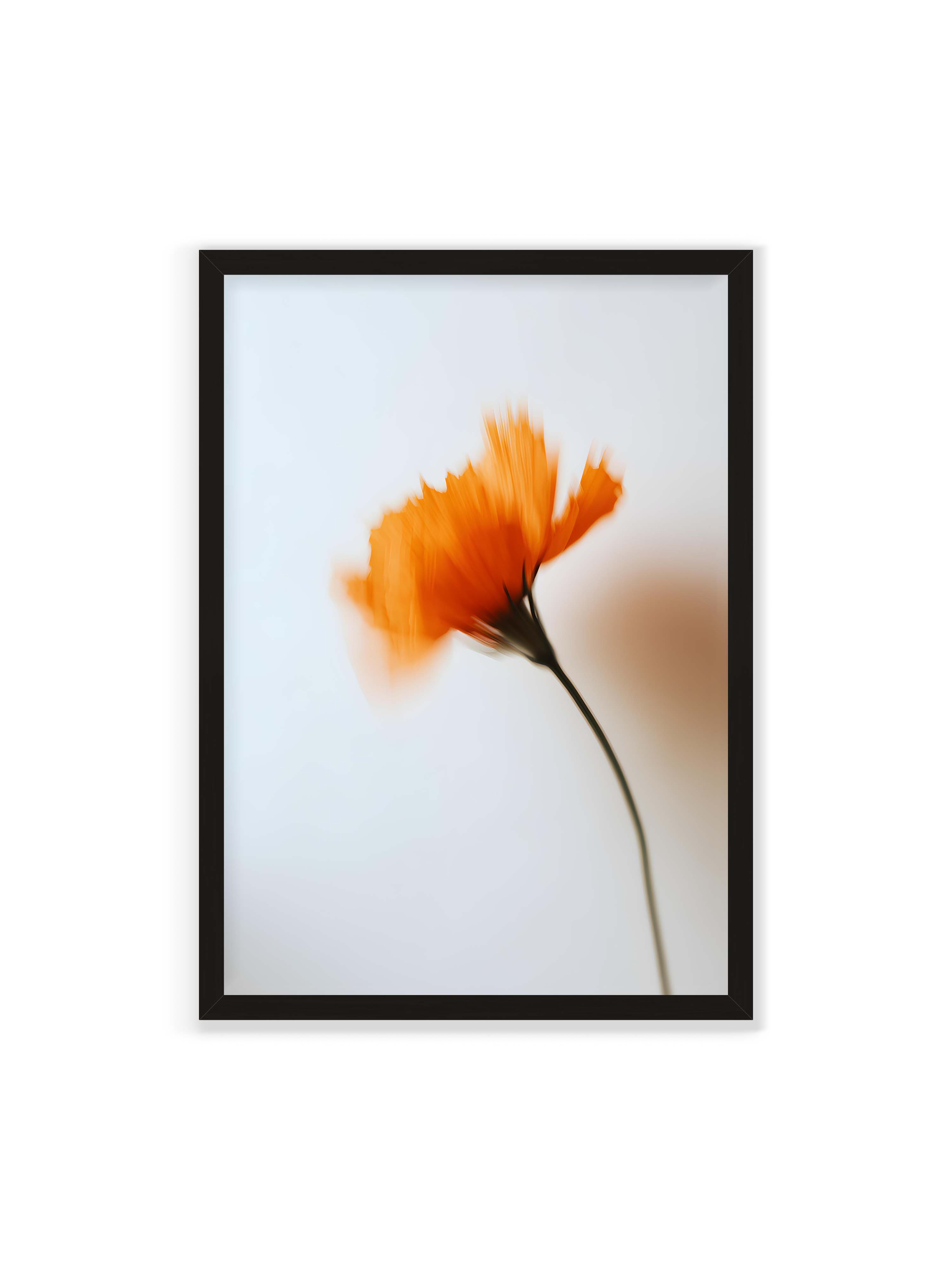 70x100 cm ohne Galerie-Rand mit schwarzem Rahmen – Orange Blüte mit starker Bewegungsunschärfe vor hellem Hintergrund, dunkler schlanker Stiel.