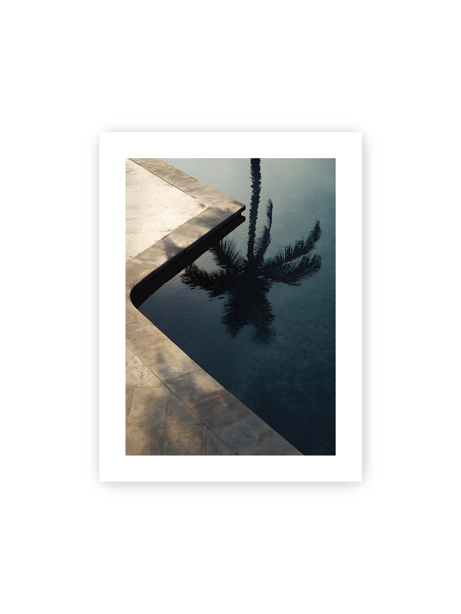 30x40 cm, weißer Galerie-Rand – Spiegelung einer Palme im ruhigen Poolwasser neben heller Steinkante, klare Linien und dunkle Reflexion im Wasser.
