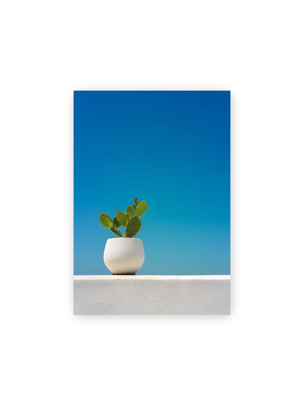 21x30 cm – Grüner Kaktus in weißem Keramiktopf auf einer hellen Mauer vor klarem blauem Himmel.