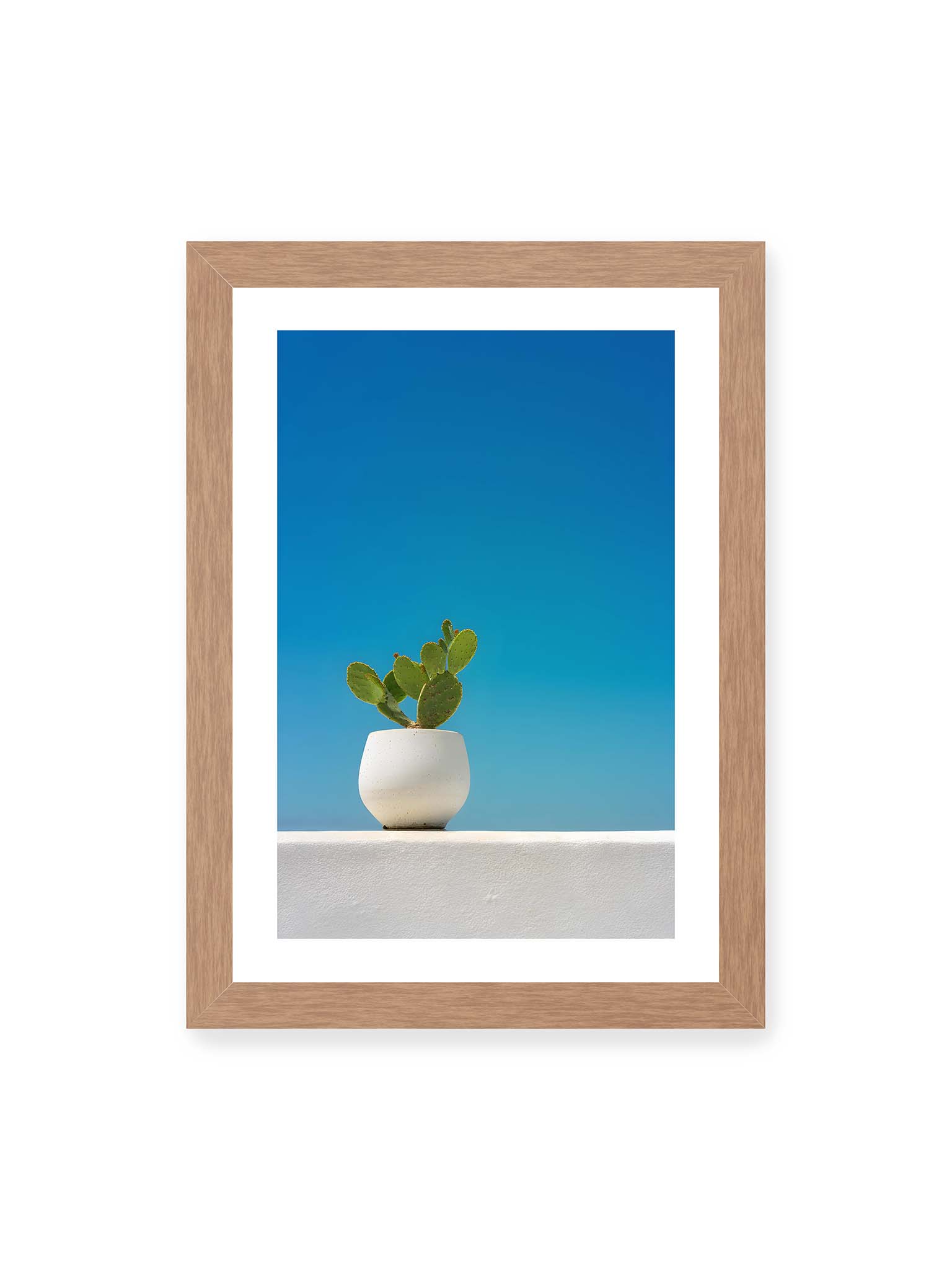 21x30 cm, weißer Galerie-Rand, Eichenrahmen – Grüner Kaktus in weißem Keramiktopf auf einer hellen Mauer vor klarem blauem Himmel.