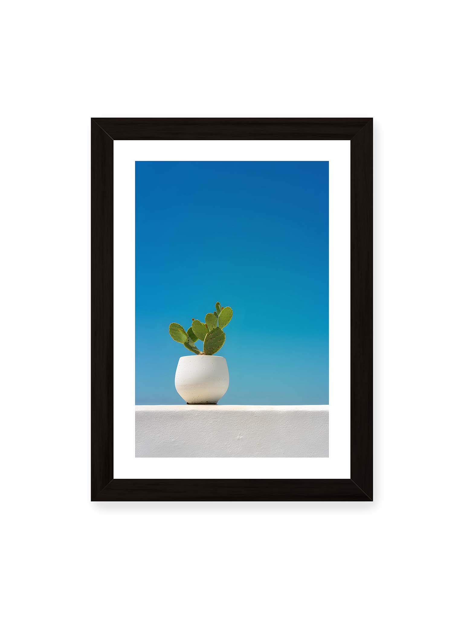 21x30 cm, weißer Galerie-Rand, schwarzer Rahmen – Grüner Kaktus in weißem Keramiktopf auf einer hellen Mauer vor klarem blauem Himmel.