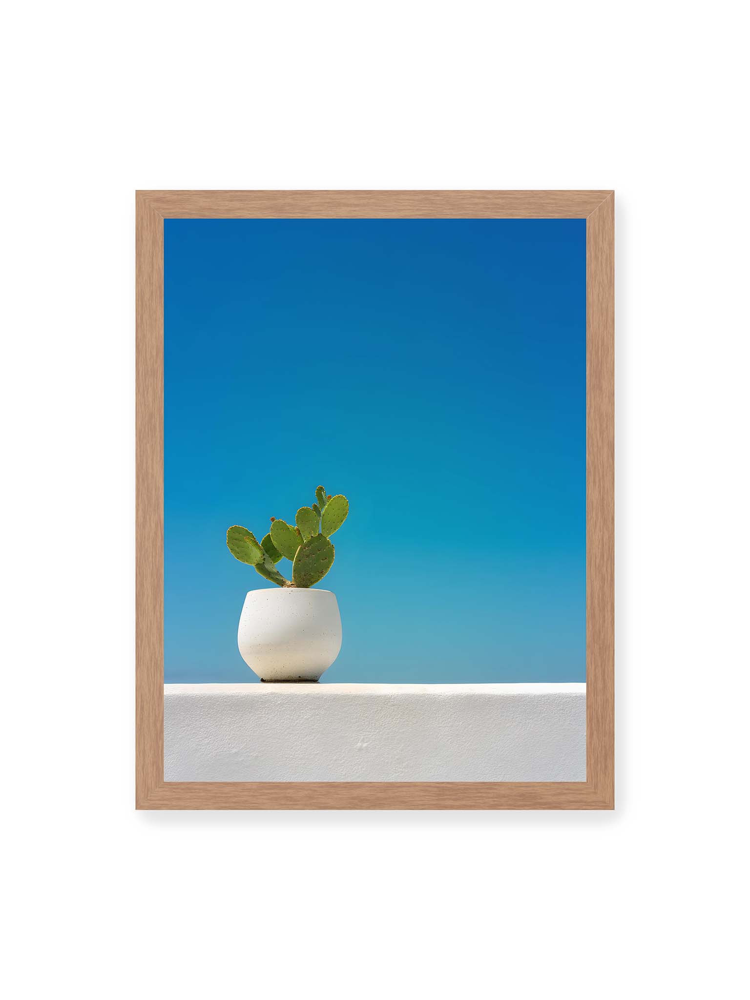 30x40 cm, Eichenrahmen – Grüner Kaktus in weißem Keramiktopf auf einer hellen Mauer vor klarem blauem Himmel.