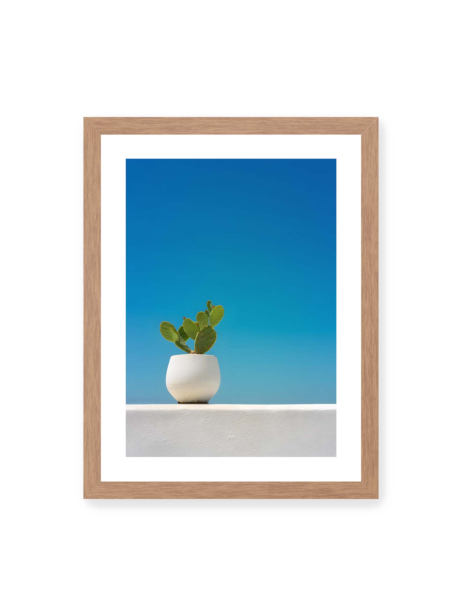 30x40 cm, weißer Galerie-Rand, Eichenrahmen – Grüner Kaktus in weißem Keramiktopf auf einer hellen Mauer vor klarem blauem Himmel.
