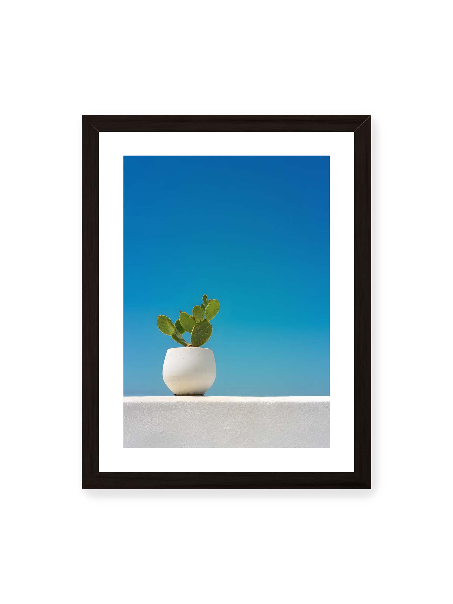 30x40 cm, weißer Galerie-Rand, schwarzer Rahmen – Grüner Kaktus in weißem Keramiktopf auf einer hellen Mauer vor klarem blauem Himmel.