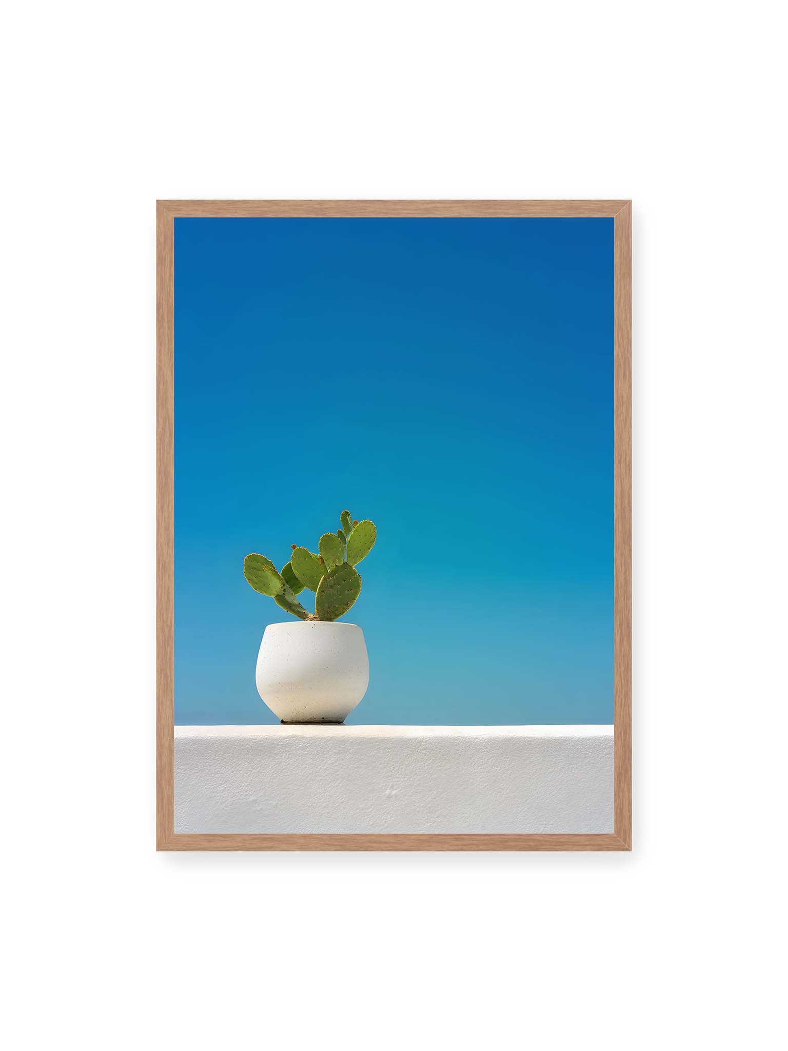 50x70 cm, Eichenrahmen – Grüner Kaktus in weißem Keramiktopf auf einer hellen Mauer vor klarem blauem Himmel.