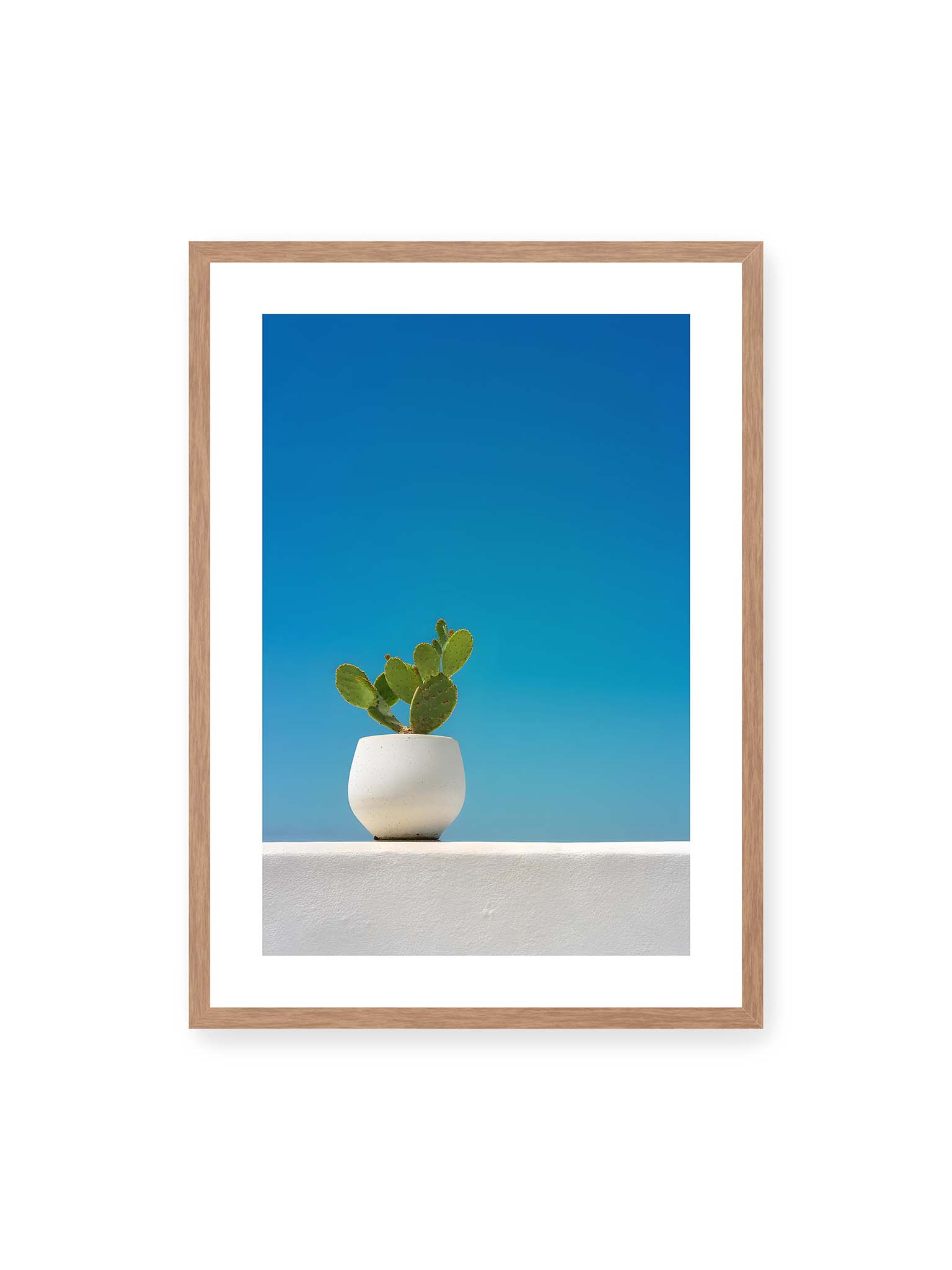50x70 cm, weißer Galerie-Rand, Eichenrahmen – Grüner Kaktus in weißem Keramiktopf auf einer hellen Mauer vor klarem blauem Himmel.