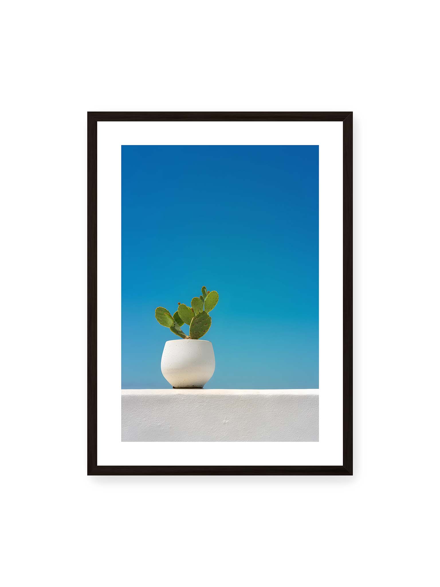 50x70 cm, weißer Galerie-Rand, schwarzer Rahmen – Grüner Kaktus in weißem Keramiktopf auf einer hellen Mauer vor klarem blauem Himmel.