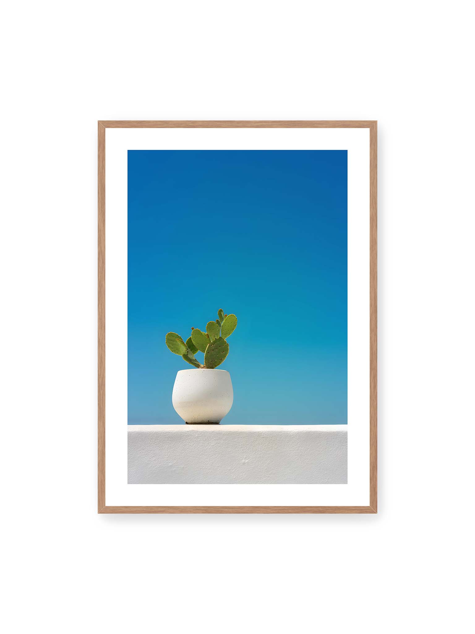 70x100 cm, weißer Galerie-Rand, Eichenrahmen – Grüner Kaktus in weißem Keramiktopf auf einer hellen Mauer vor klarem blauem Himmel.