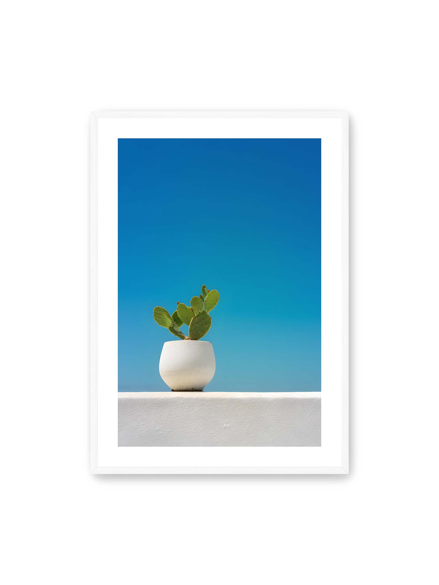 70x100 cm, weißer Galerie-Rand, weißer Rahmen – Grüner Kaktus in weißem Keramiktopf auf einer hellen Mauer vor klarem blauem Himmel.