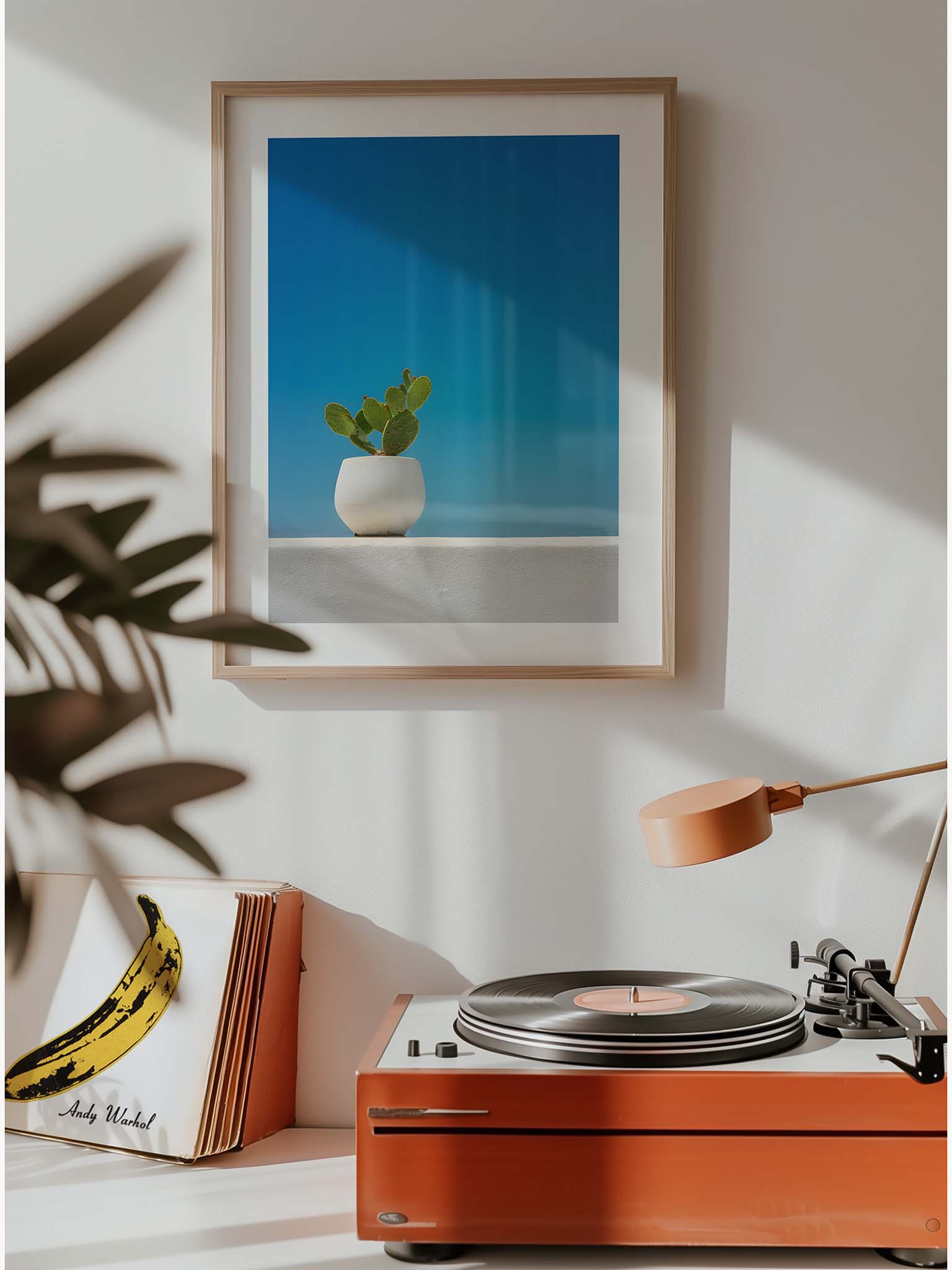 Planted in Light