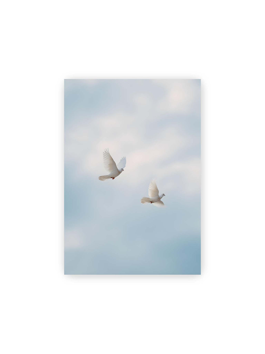 21x30 cm – Zwei weiße Tauben fliegen synchron durch einen hellen, leicht bewölkten Himmel.