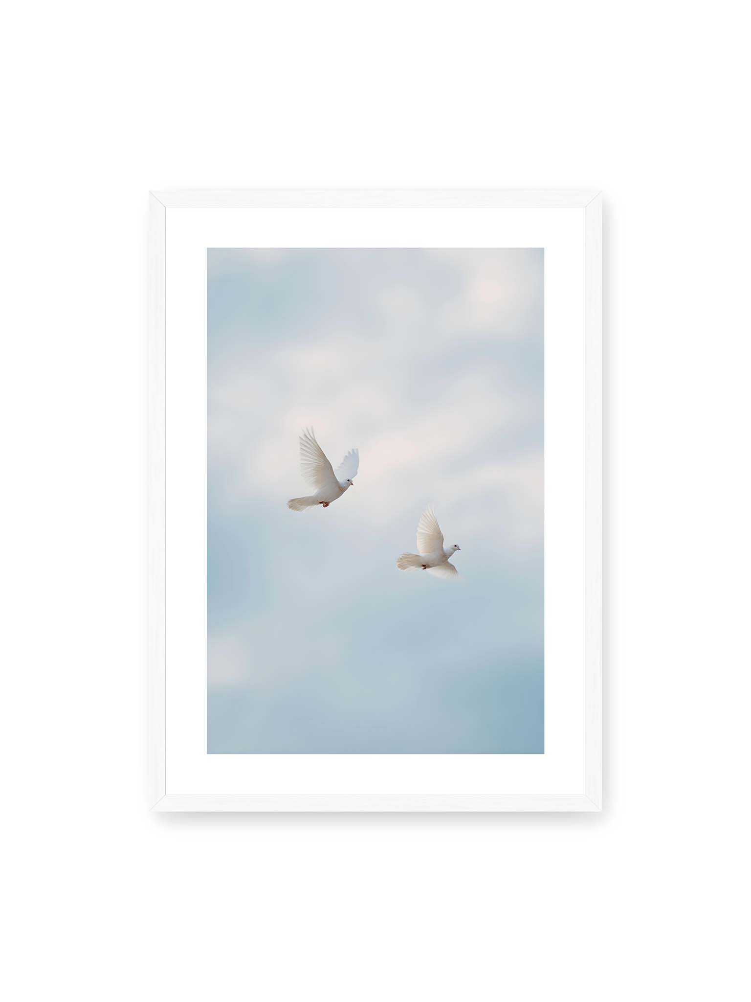 50x70 cm, weißer Galerie-Rand, weißer Rahmen – Zwei weiße Tauben fliegen synchron durch einen hellen, leicht bewölkten Himmel.