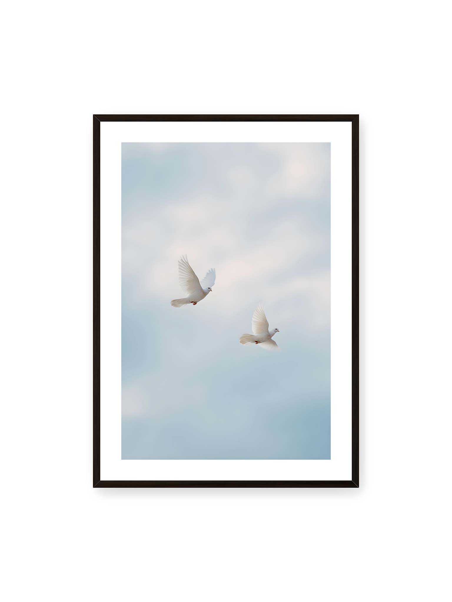 70x100 cm, weißer Galerie-Rand, schwarzer Rahmen – Zwei weiße Tauben fliegen synchron durch einen hellen, leicht bewölkten Himmel.