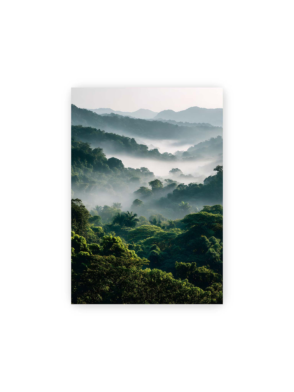 21x30 cm – Tropischer Wald mit grünem Laub, von Nebel umhüllt und von sanftem Licht erleuchtet.