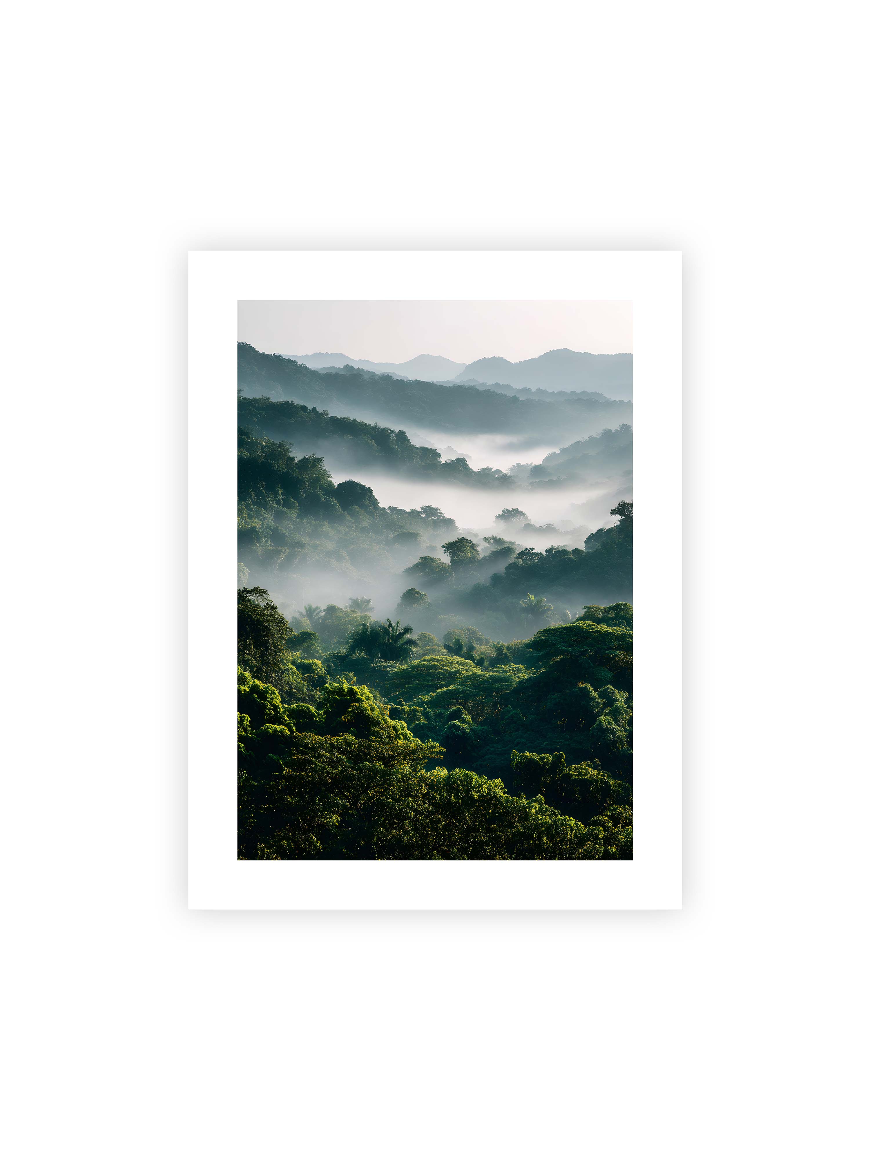 30x40 cm mit weißem Galerie-Rand ohne Rahmen – Tropischer Wald mit grünem Laub, von Nebel umhüllt und von sanftem Licht erleuchtet.