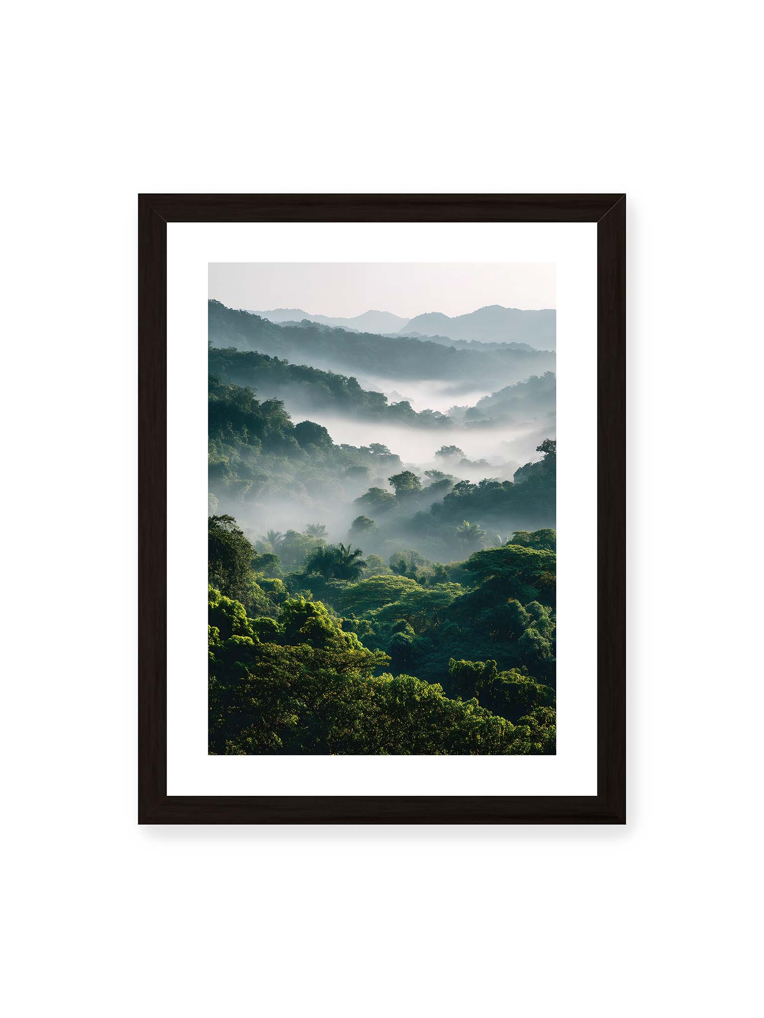 30x40 cm, weißer Galerie-Rand, schwarzer Rahmen – Tropischer Wald mit grünem Laub, von Nebel umhüllt und von sanftem Licht erleuchtet.