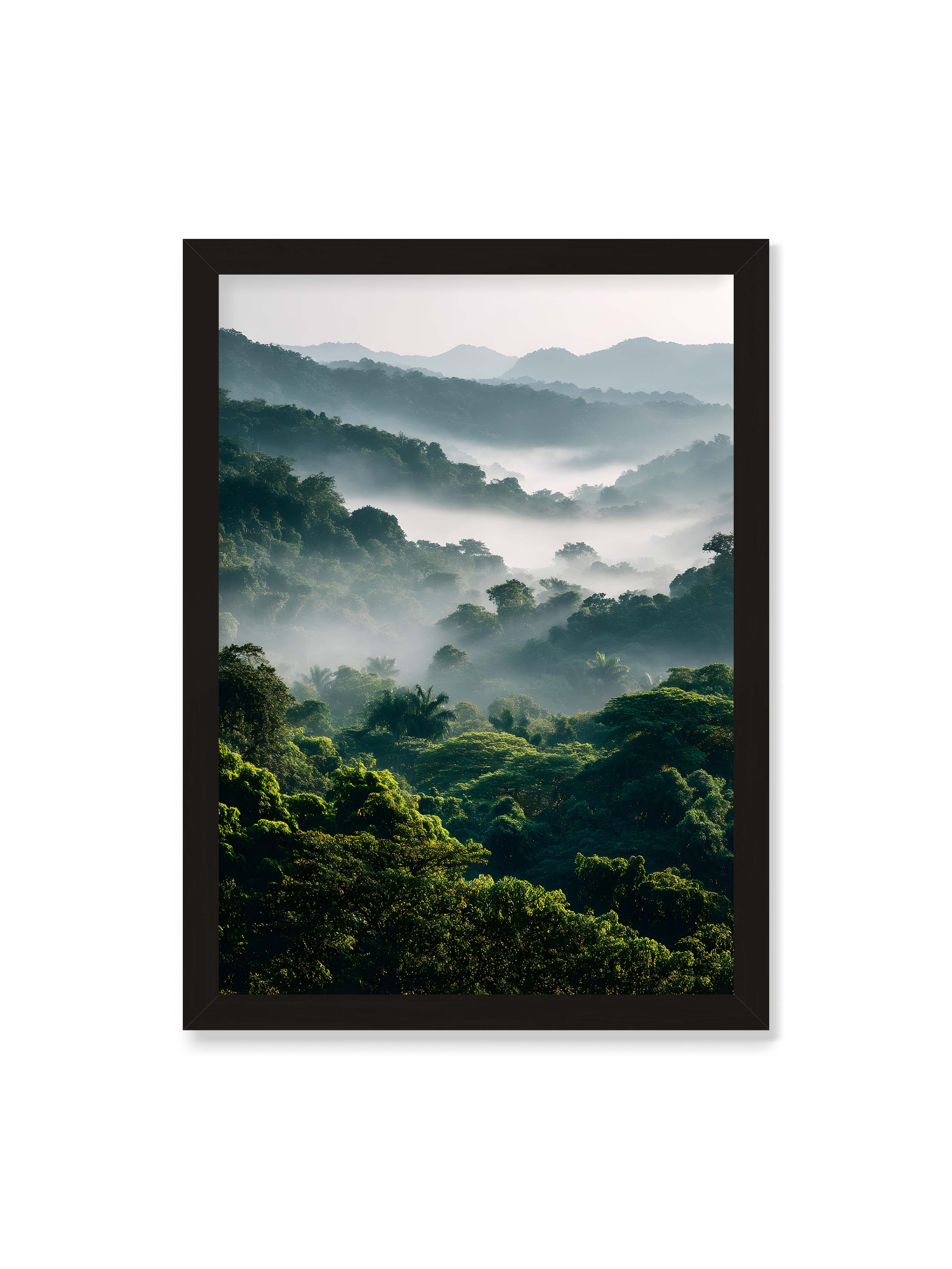 50x70 cm ohne Galerie-Rand mit schwarzem Rahmen – Tropischer Wald mit grünem Laub, von Nebel umhüllt und von sanftem Licht erleuchtet.