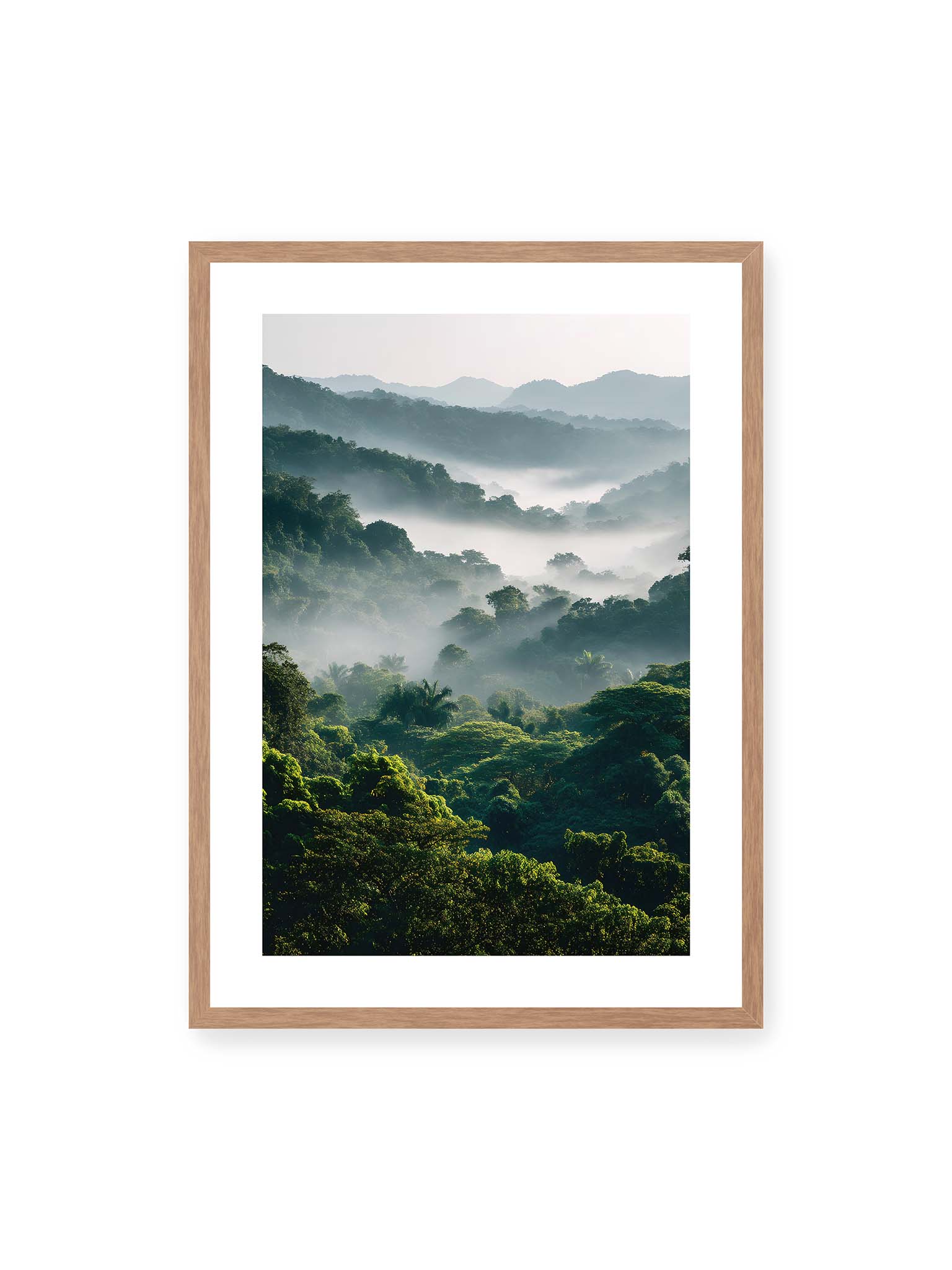 50x70 cm, weißer Galerie-Rand, Eichenrahmen – Tropischer Wald mit grünem Laub, von Nebel umhüllt und von sanftem Licht erleuchtet.