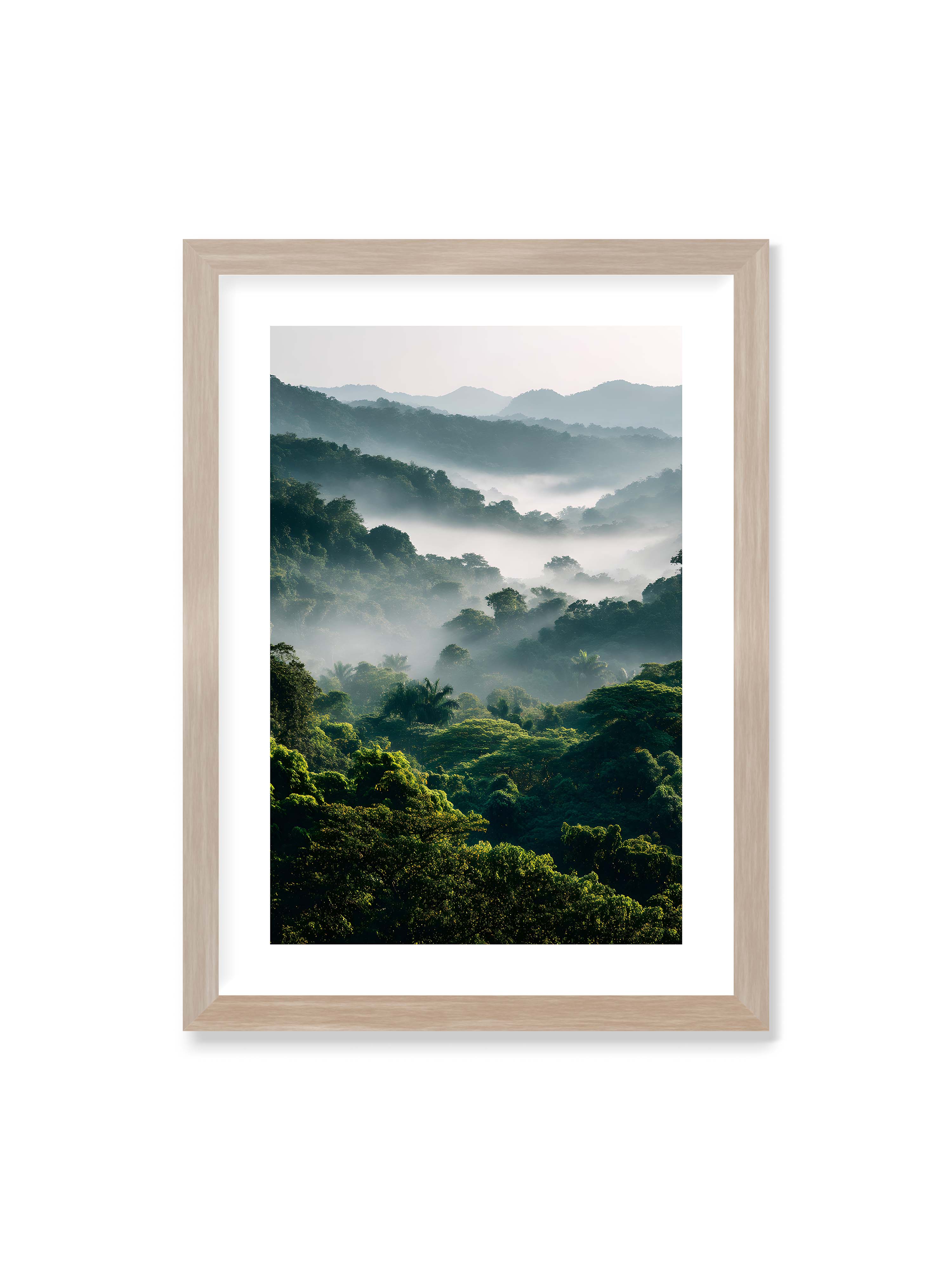 50x70 cm mit weißem Galerie-Rand im Eichenrahmen – Tropischer Wald mit grünem Laub, von Nebel umhüllt und von sanftem Licht erleuchtet.