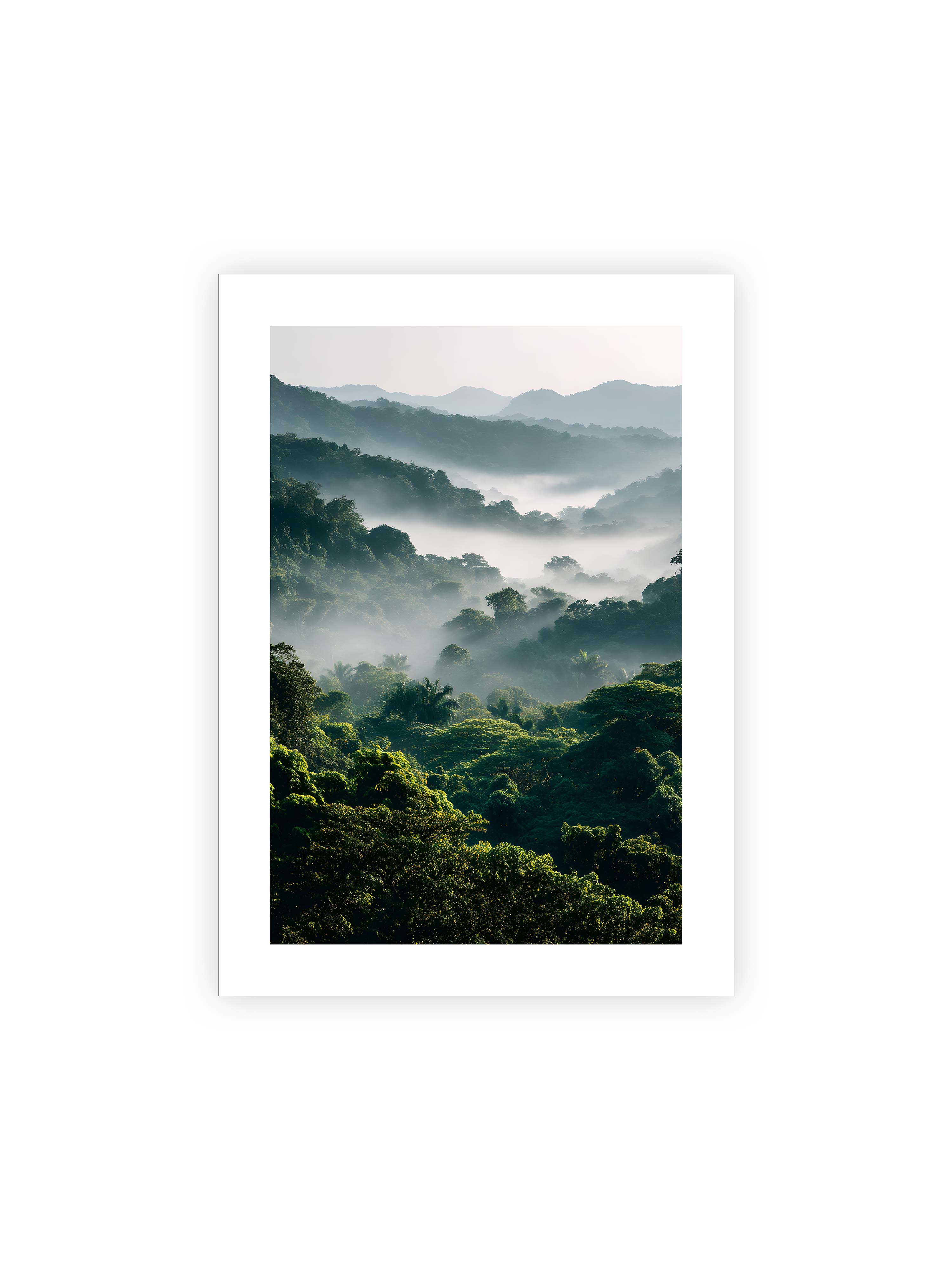 50x70 cm mit weißem Galerie-Rand ohne Rahmen – Tropischer Wald mit grünem Laub, von Nebel umhüllt und von sanftem Licht erleuchtet.