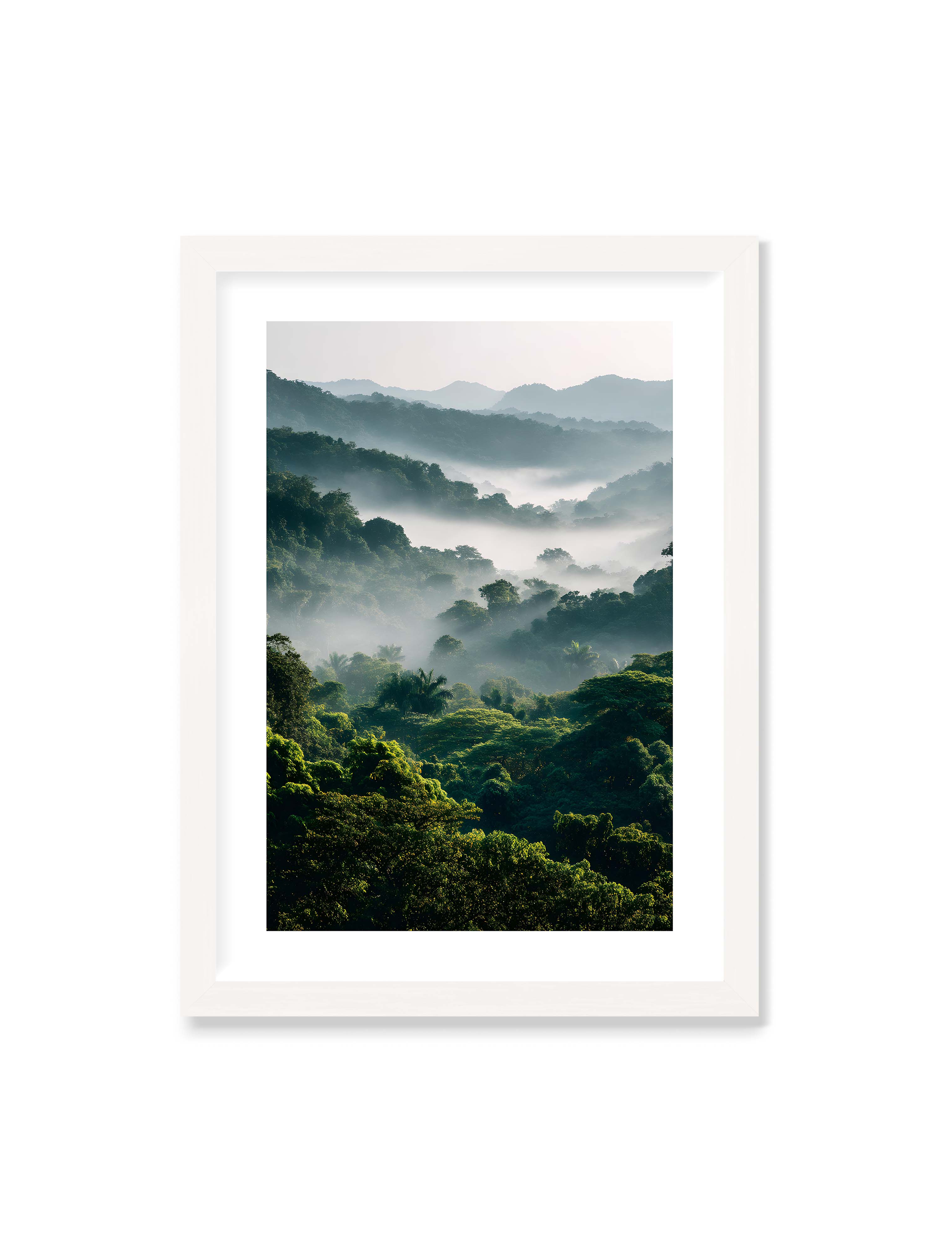 50x70 cm mit weißem Galerie-Rand mit weißem Rahmen – Tropischer Wald mit grünem Laub, von Nebel umhüllt und von sanftem Licht erleuchtet.