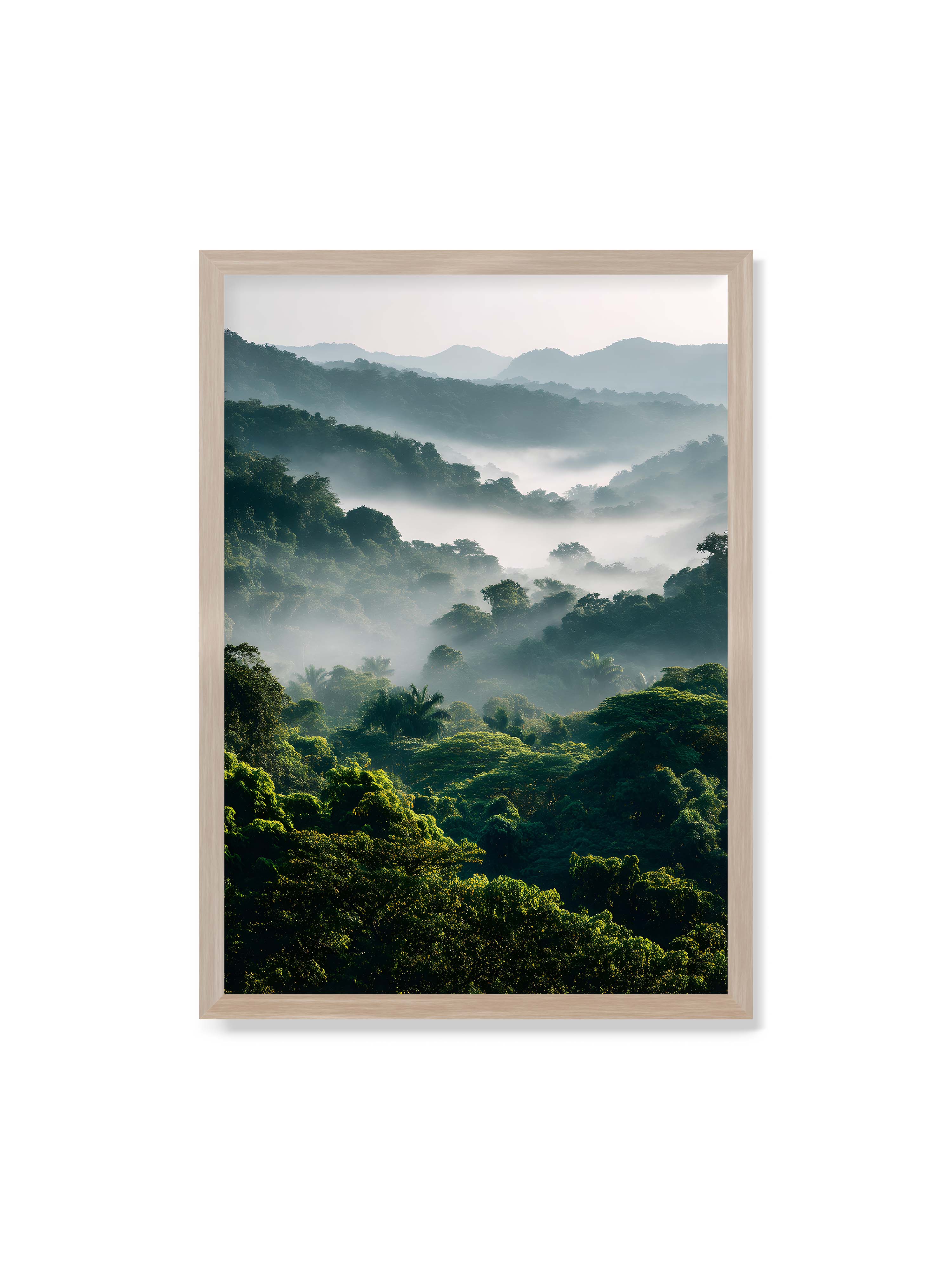 70x100 cm ohne Galerie-Rand im Eichenrahmen – Tropischer Wald mit grünem Laub, von Nebel umhüllt und von sanftem Licht erleuchtet.