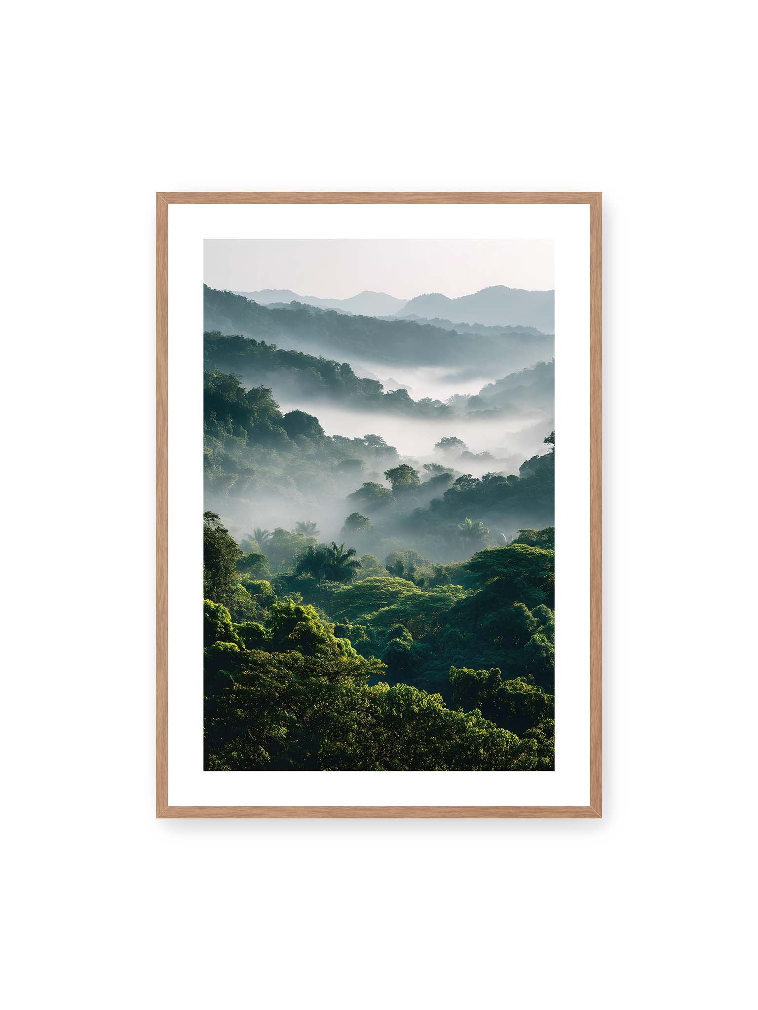 70x100 cm, weißer Galerie-Rand, Eichenrahmen – Tropischer Wald mit grünem Laub, von Nebel umhüllt und von sanftem Licht erleuchtet.