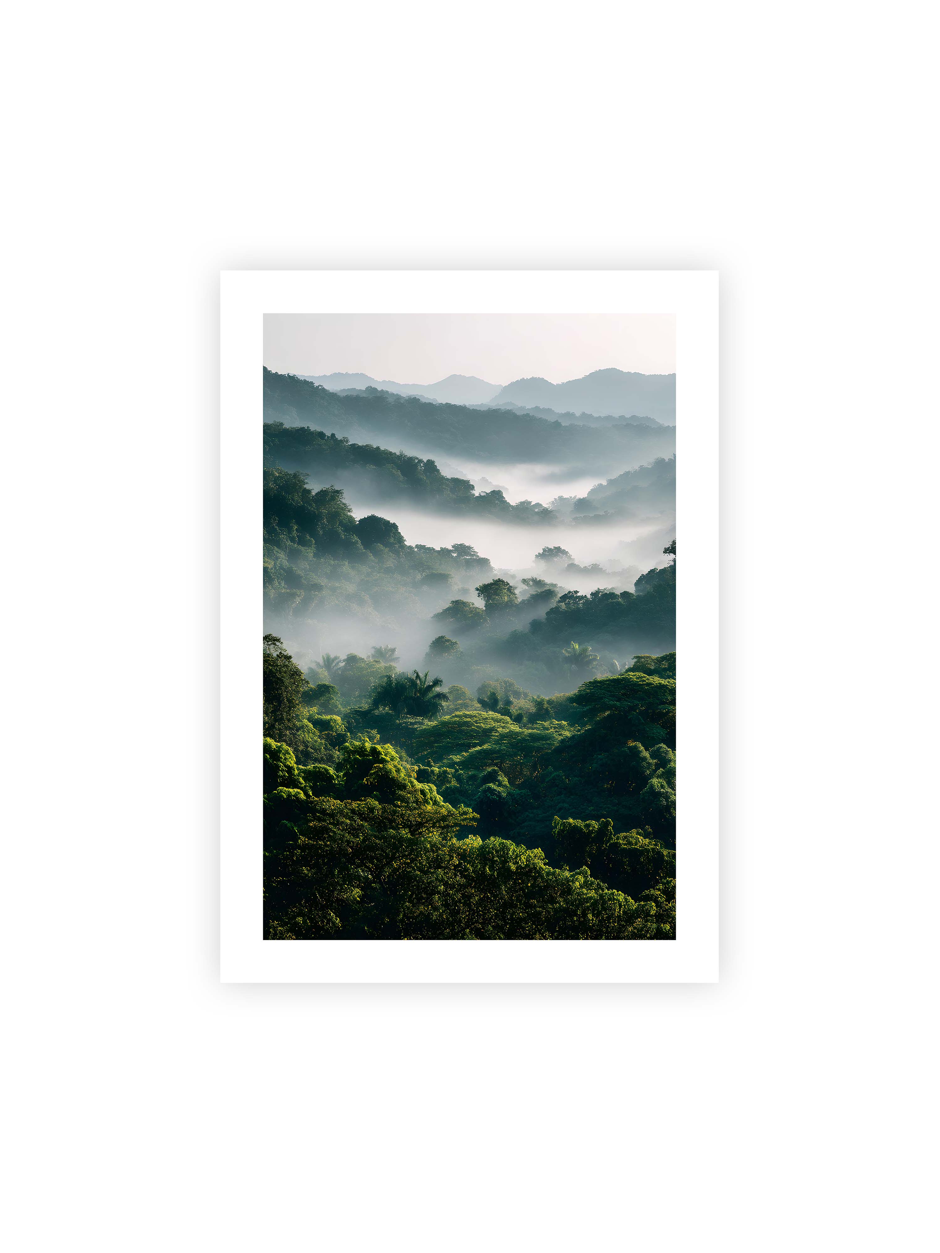 70x100 cm mit weißem Galerie-Rand ohne Rahmen – Tropischer Wald mit grünem Laub, von Nebel umhüllt und von sanftem Licht erleuchtet.