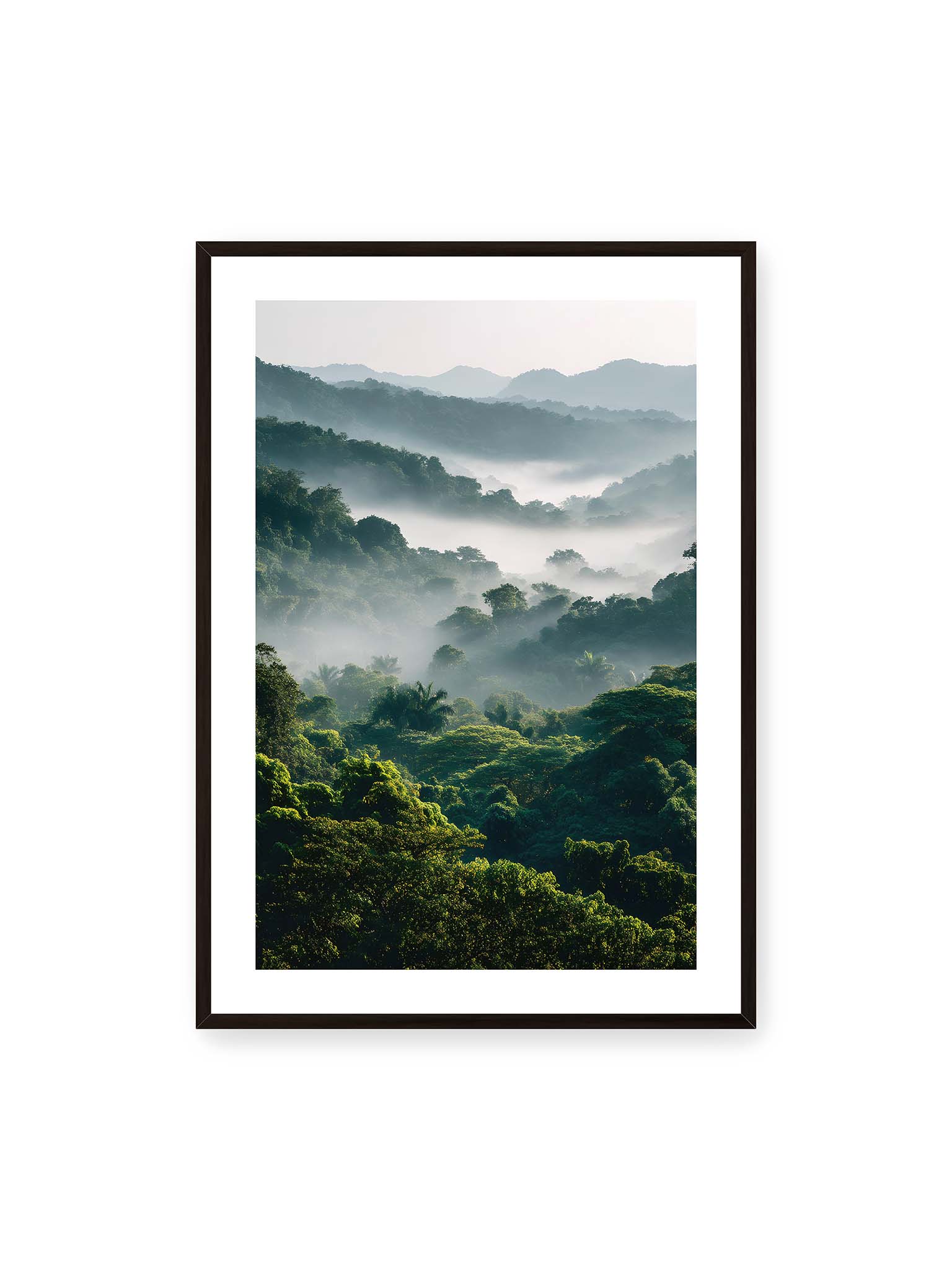 70x100 cm, weißer Galerie-Rand, schwarzer Rahmen – Tropischer Wald mit grünem Laub, von Nebel umhüllt und von sanftem Licht erleuchtet.