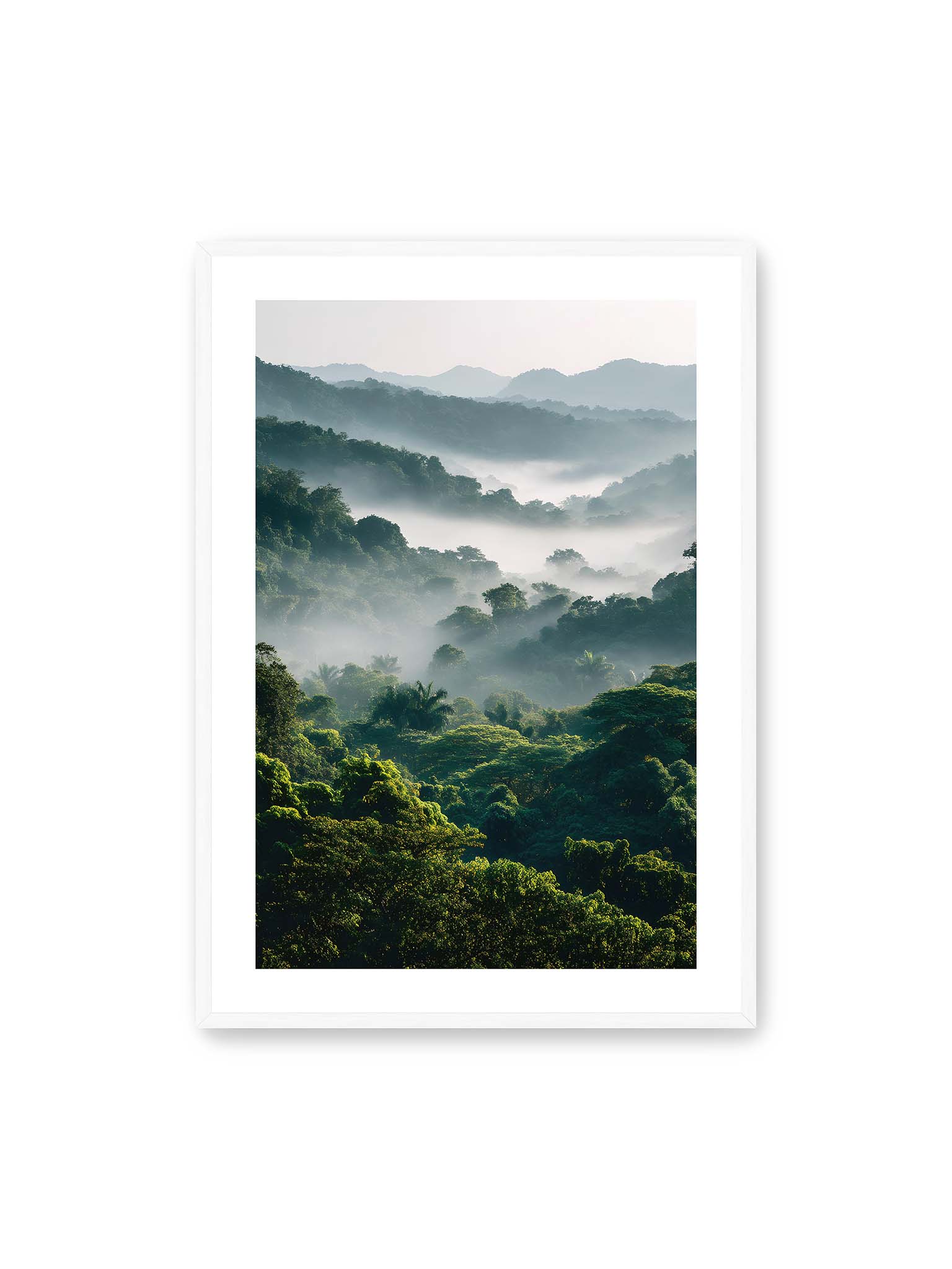 70x100 cm, weißer Galerie-Rand, weißer Rahmen – Tropischer Wald mit grünem Laub, von Nebel umhüllt und von sanftem Licht erleuchtet.