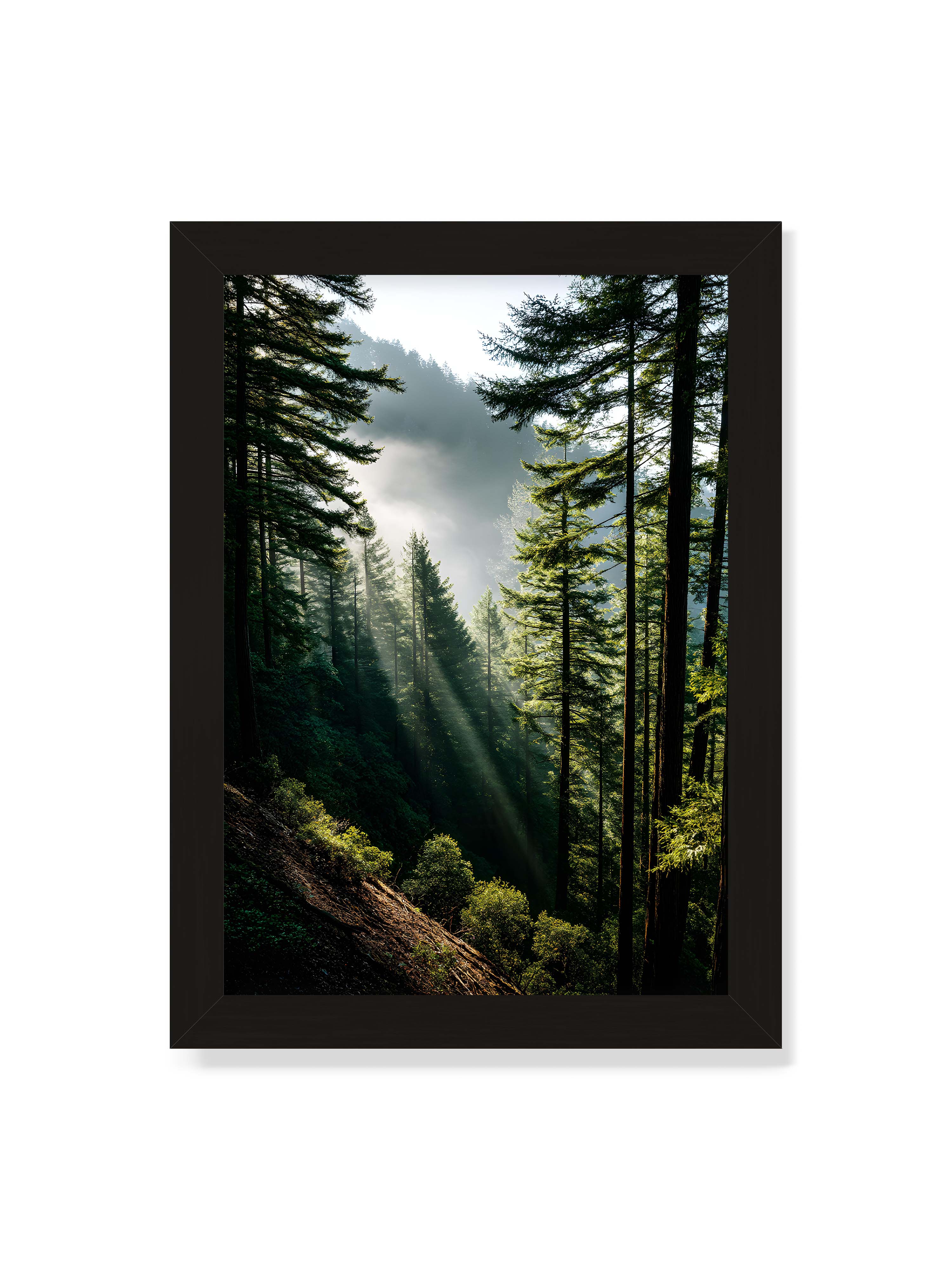 21x30 cm ohne Galerie-Rand mit schwarzem Rahmen – Sonnenstrahlen durchbrechen den Nebel eines Waldes und erleuchten den Boden mit magischen Lichtflecken.