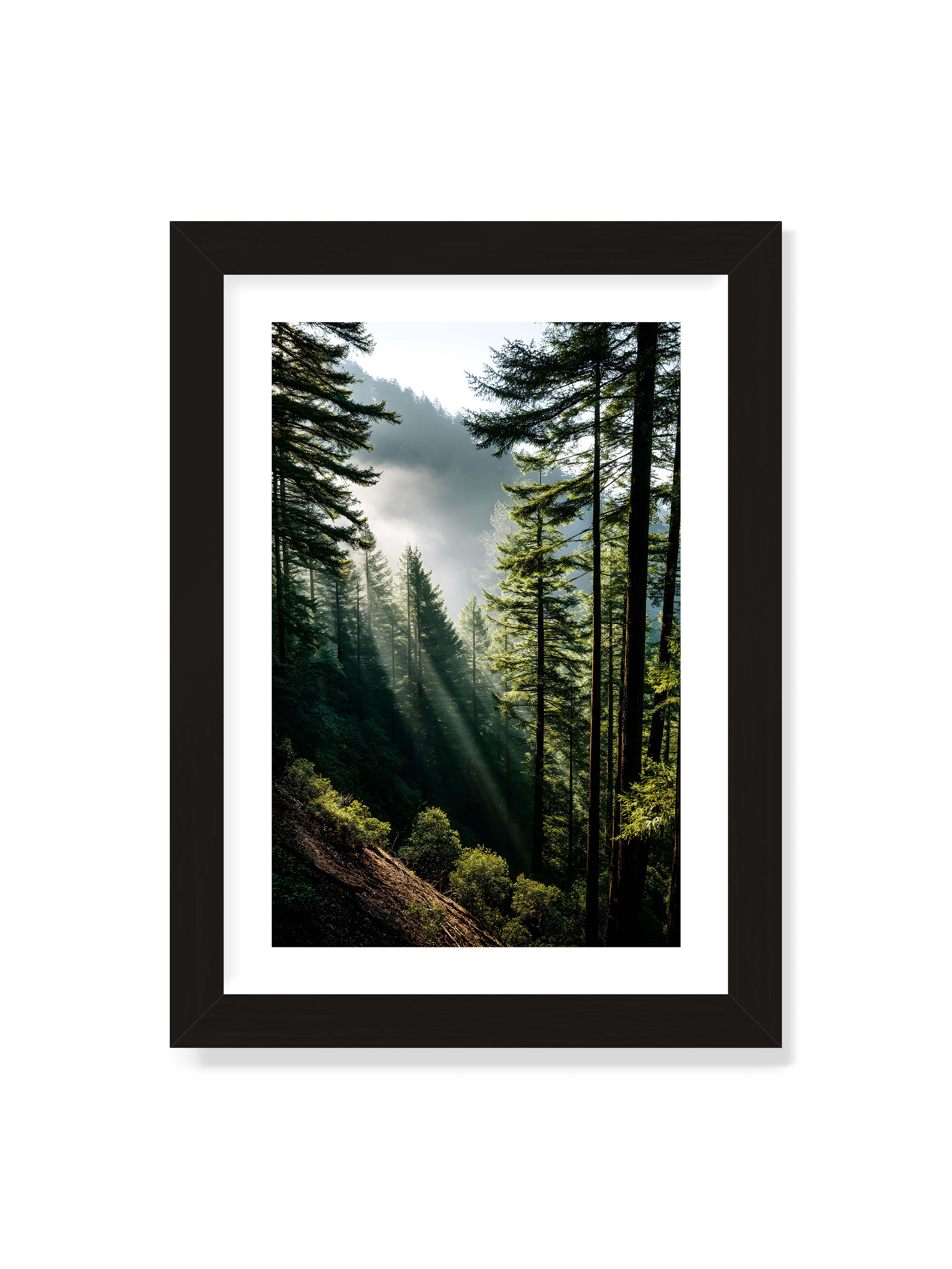 21x30 cm mit weißem Galerie-Rand mit schwarzem Rahmen – Sonnenstrahlen durchbrechen den Nebel eines Waldes und erleuchten den Boden mit magischen Lichtflecken.