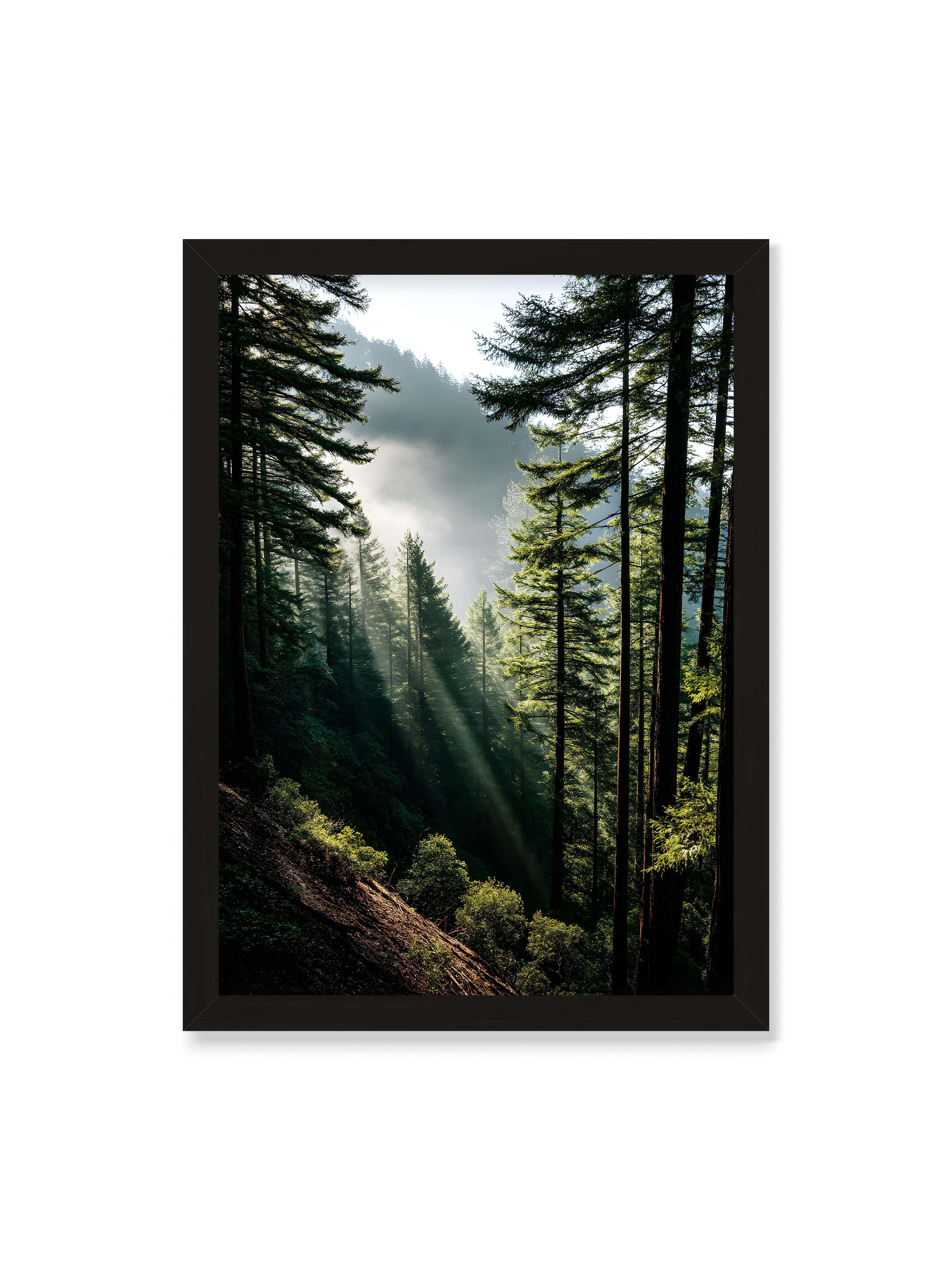 50x70 cm ohne Galerie-Rand mit schwarzem Rahmen – Sonnenstrahlen durchbrechen den Nebel eines Waldes und erleuchten den Boden mit magischen Lichtflecken.