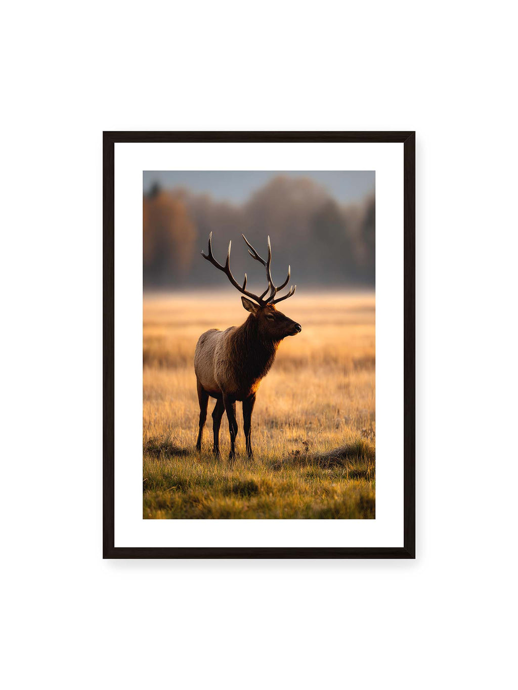 Crowned by Nature