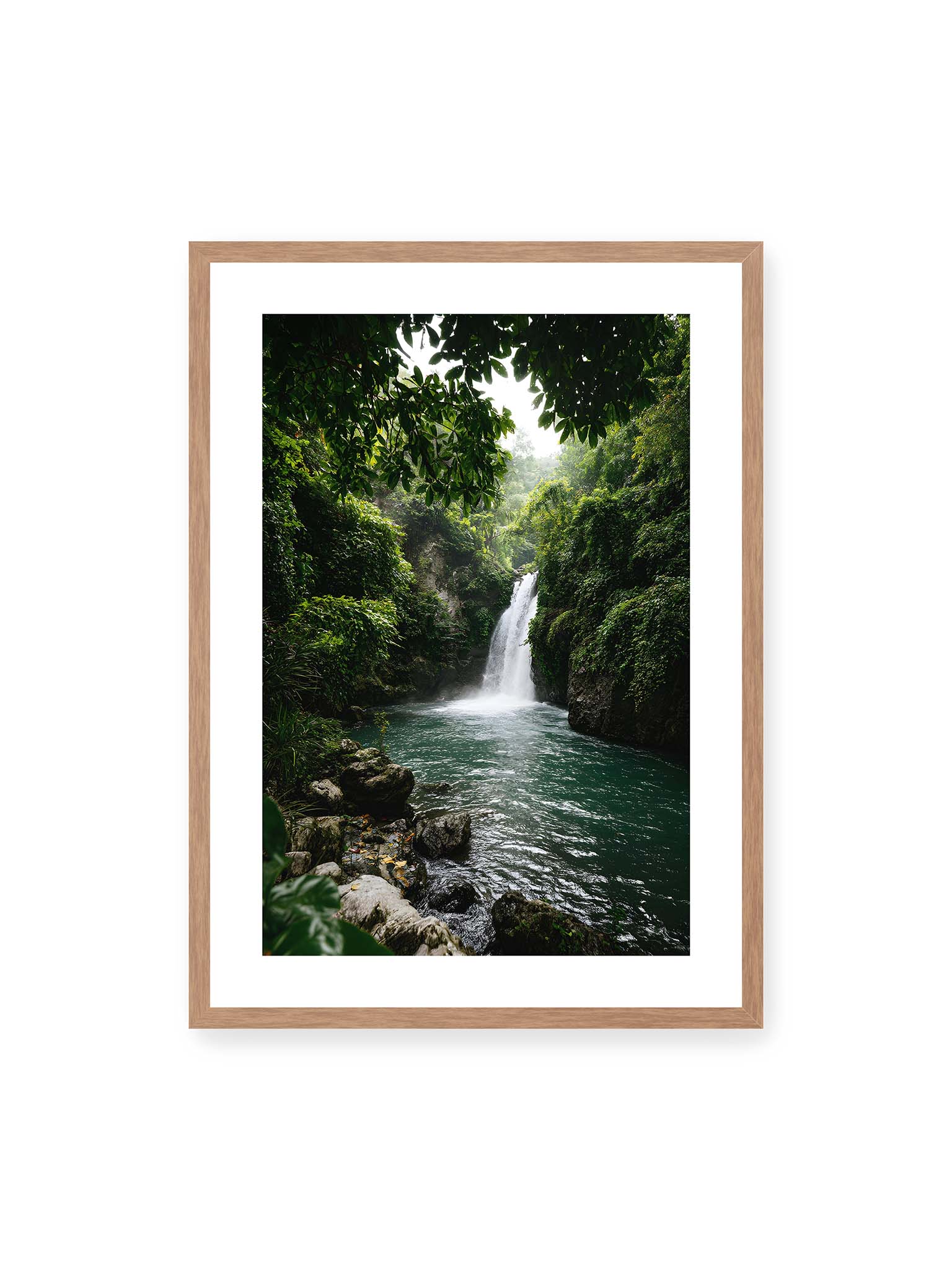 50x70 cm, weißer Galerie-Rand, Eichenrahmen – Tropischer Wasserfall in einem üppigen Dschungel mit klarem Wasser und grüner Vegetation.
