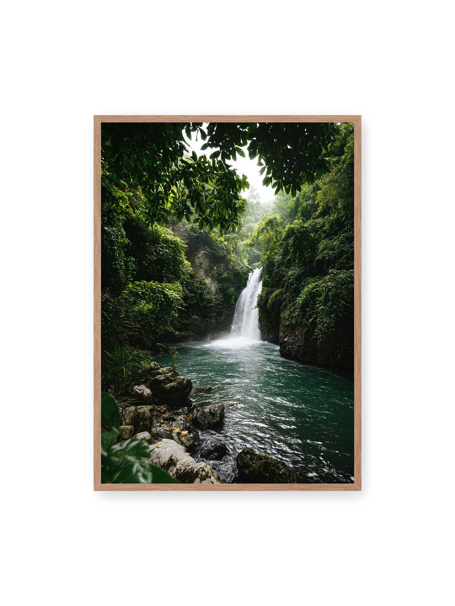 70x100 cm, Eichenrahmen – Tropischer Wasserfall in einem üppigen Dschungel mit klarem Wasser und grüner Vegetation.