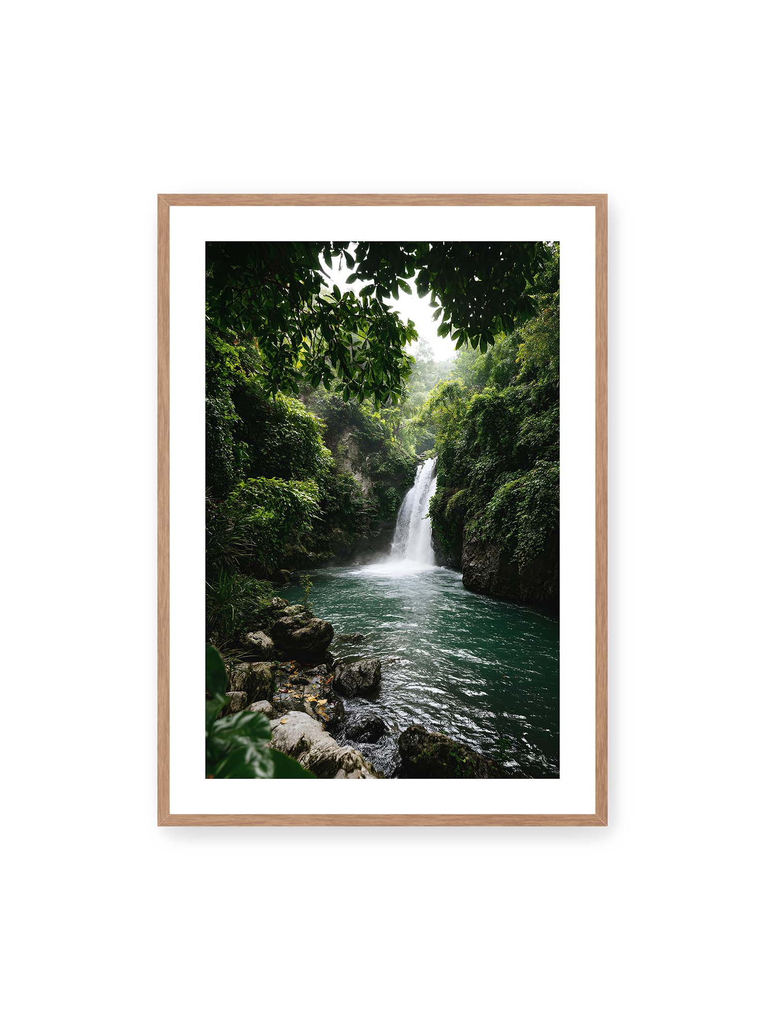70x100 cm, weißer Galerie-Rand, Eichenrahmen – Tropischer Wasserfall in einem üppigen Dschungel mit klarem Wasser und grüner Vegetation.