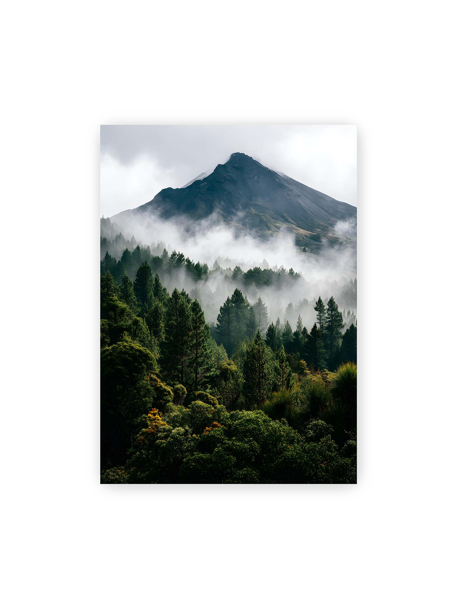50x70 cm – Berggipfel, umhüllt von Nebel, mit dichten Wäldern im Vordergrund.