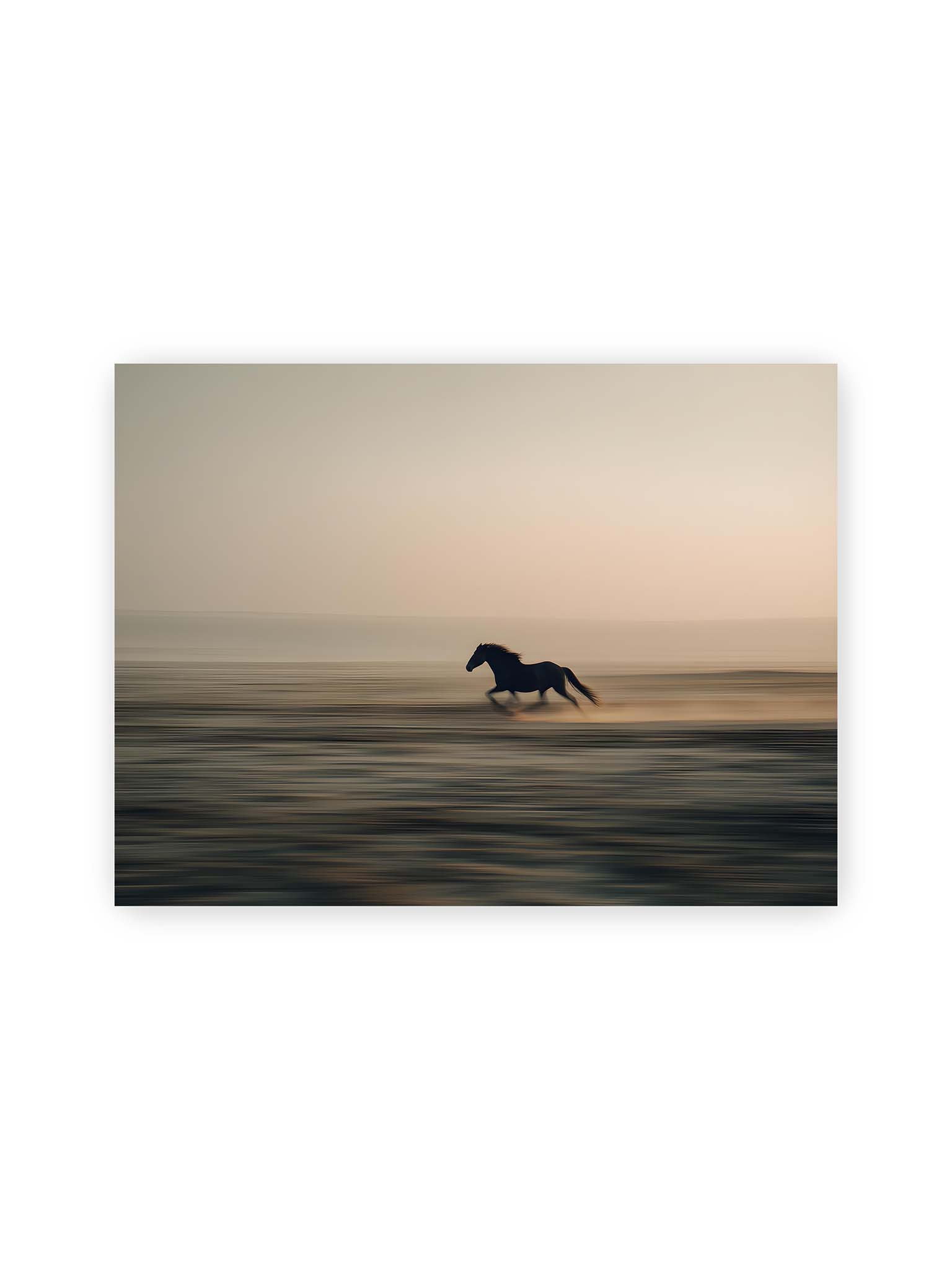 30x40 cm – Dunkles Pferd in Bewegung mit starker Unschärfe vor ruhigem, weichem Horizont.