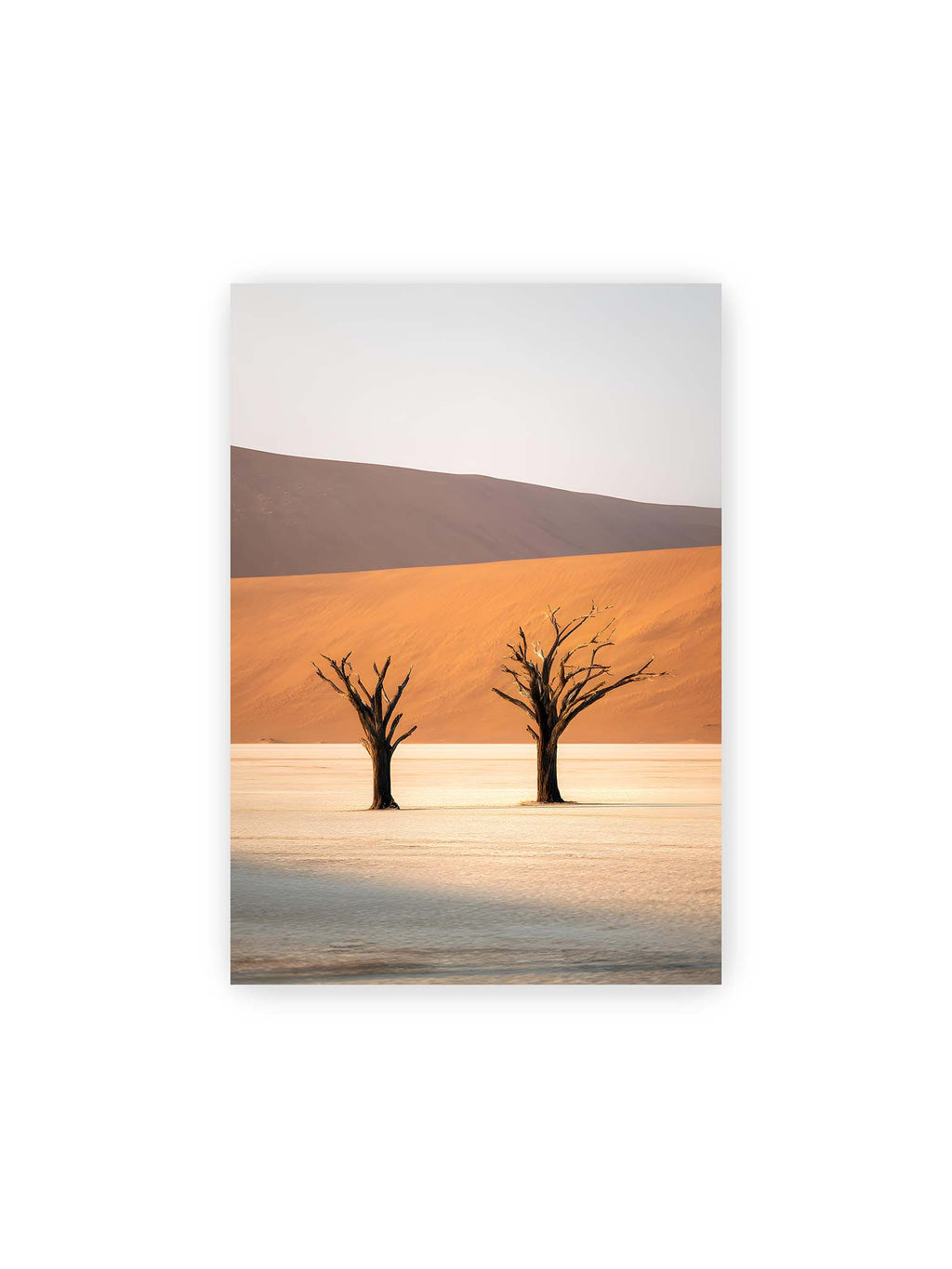 21x30 cm – Zwei kahle Bäume stehen isoliert vor sandigen Dünen in einer weiten, hellen Wüstenlandschaft in Deadvlei, Namibia.