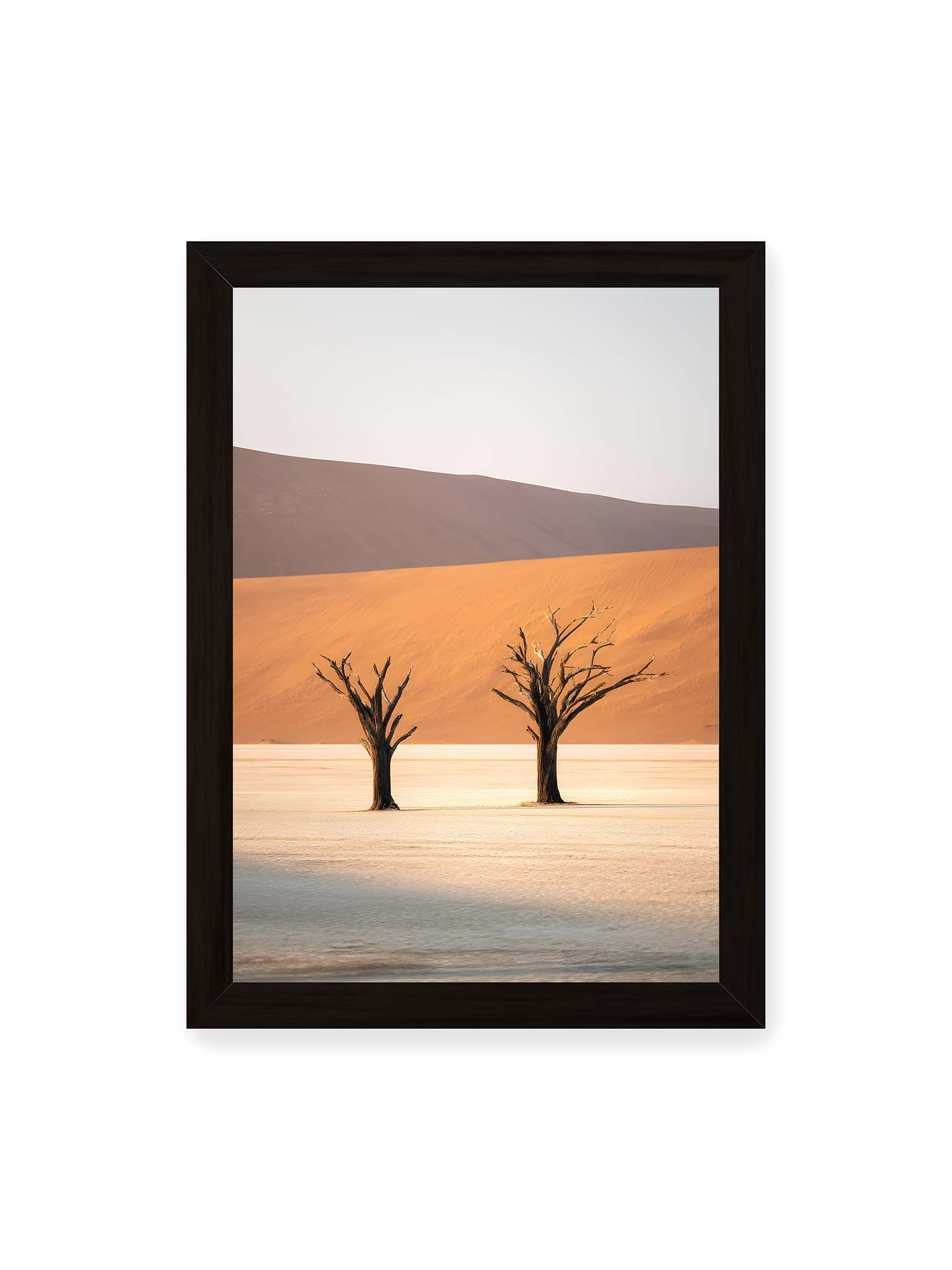 21x30 cm, schwarzer Rahmen – Zwei kahle Bäume stehen isoliert vor sandigen Dünen in einer weiten, hellen Wüstenlandschaft in Deadvlei, Namibia.