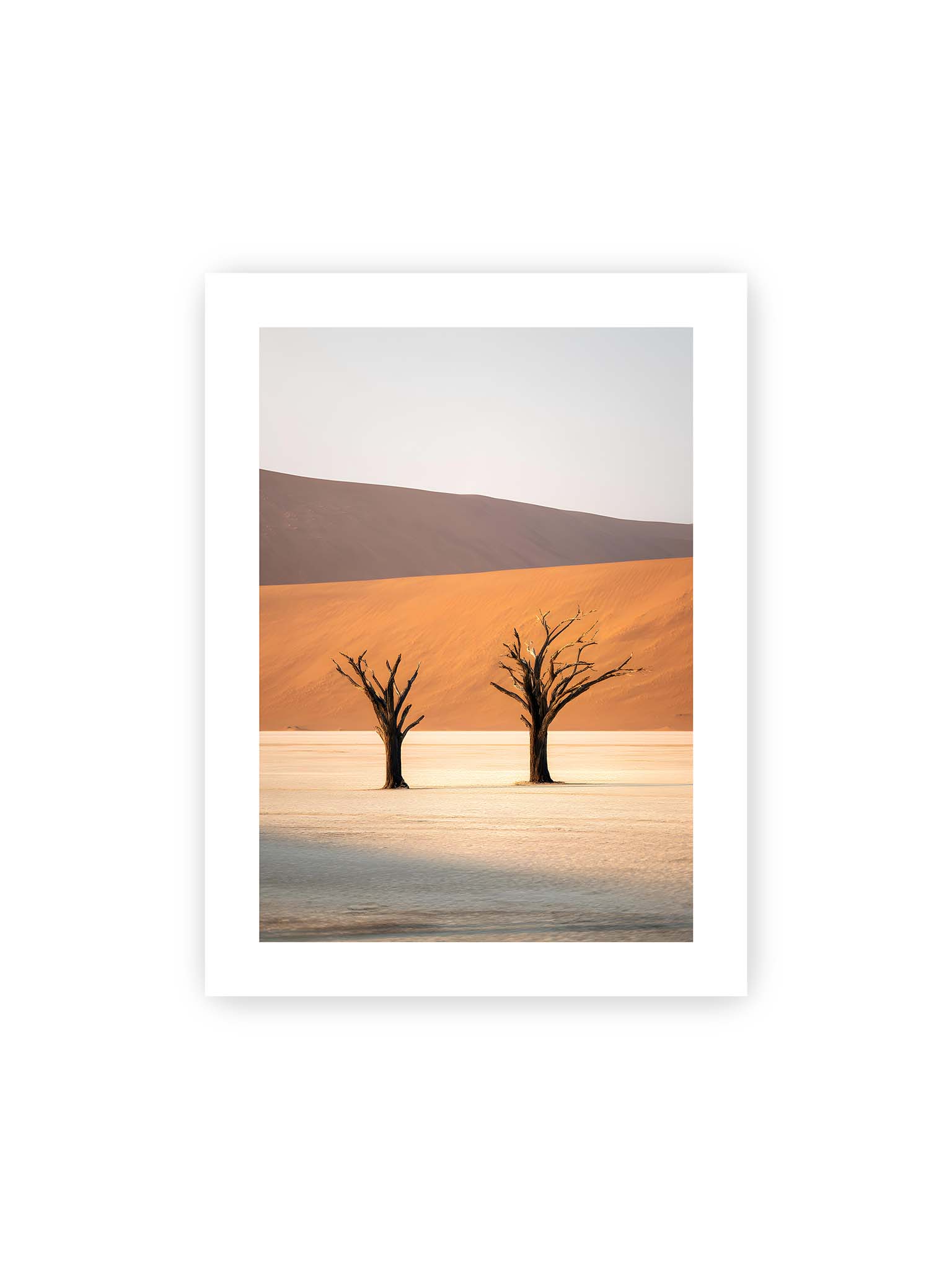 30x40 cm, weißer Galerie-Rand – Zwei kahle Bäume stehen isoliert vor sandigen Dünen in einer weiten, hellen Wüstenlandschaft in Deadvlei, Namibia.