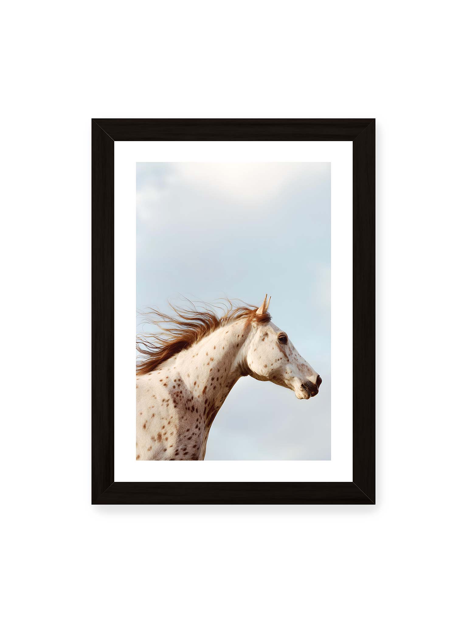 21x30 cm, weißer Galerie-Rand, schwarzer Rahmen – Nahaufnahme eines gefleckten Pferdekopfes mit wehender Mähne vor hellem Himmel.