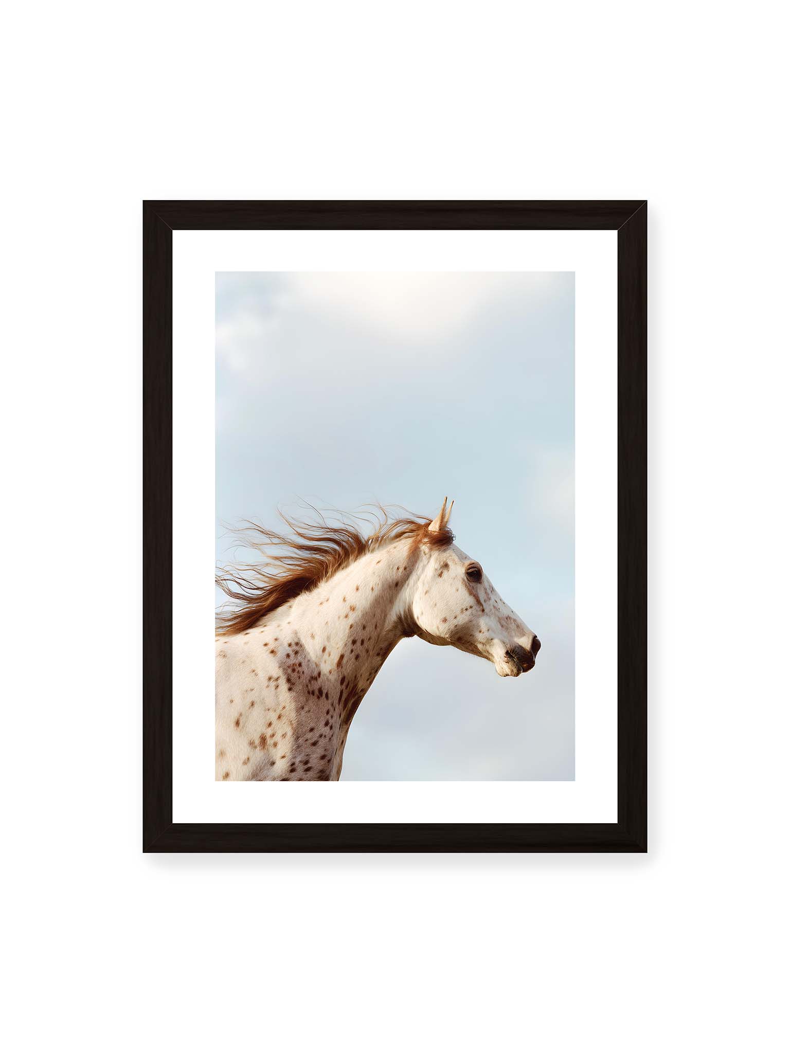 30x40 cm, weißer Galerie-Rand, schwarzer Rahmen – Nahaufnahme eines gefleckten Pferdekopfes mit wehender Mähne vor hellem Himmel.