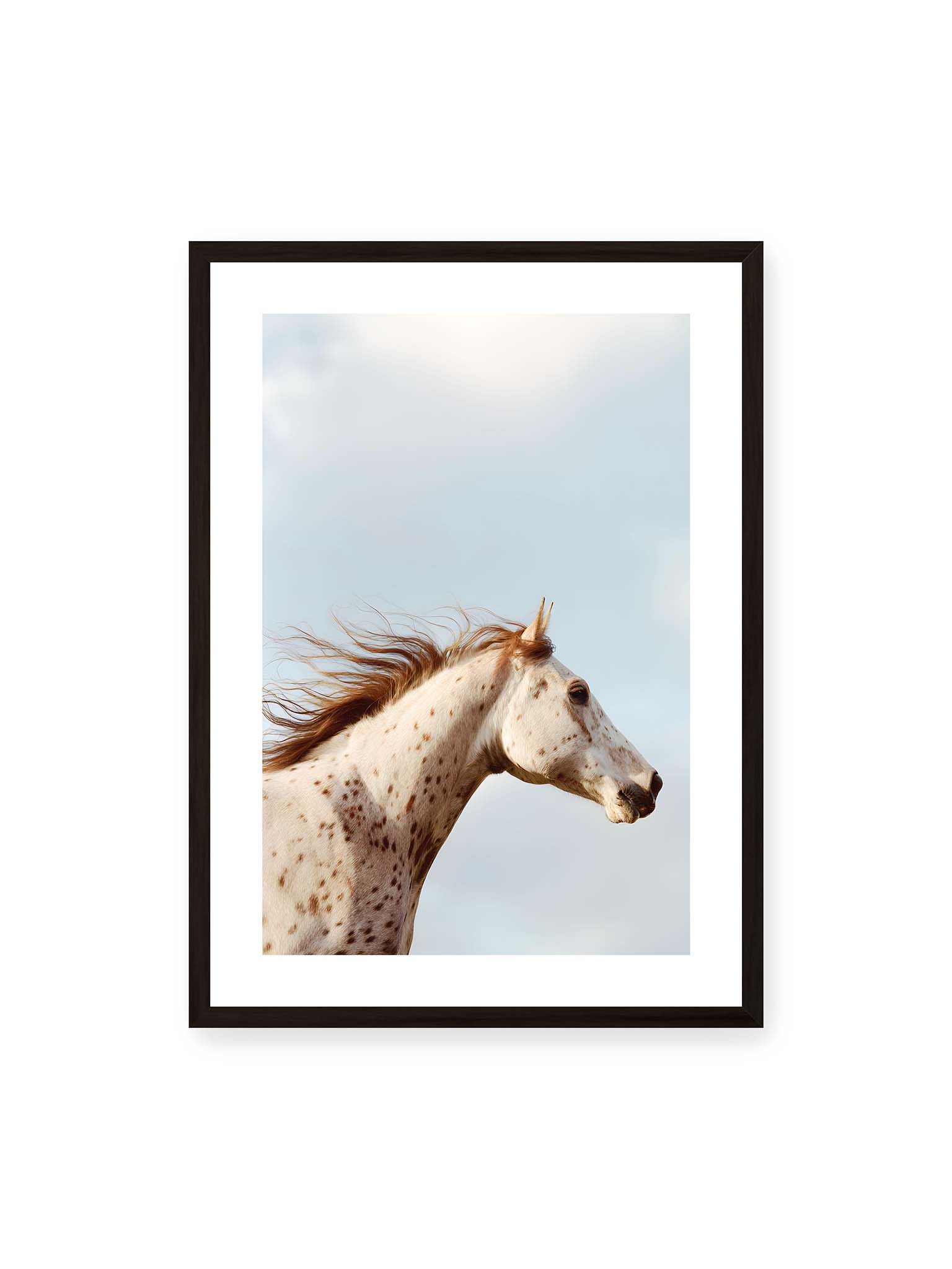 Gentle Wild Presence