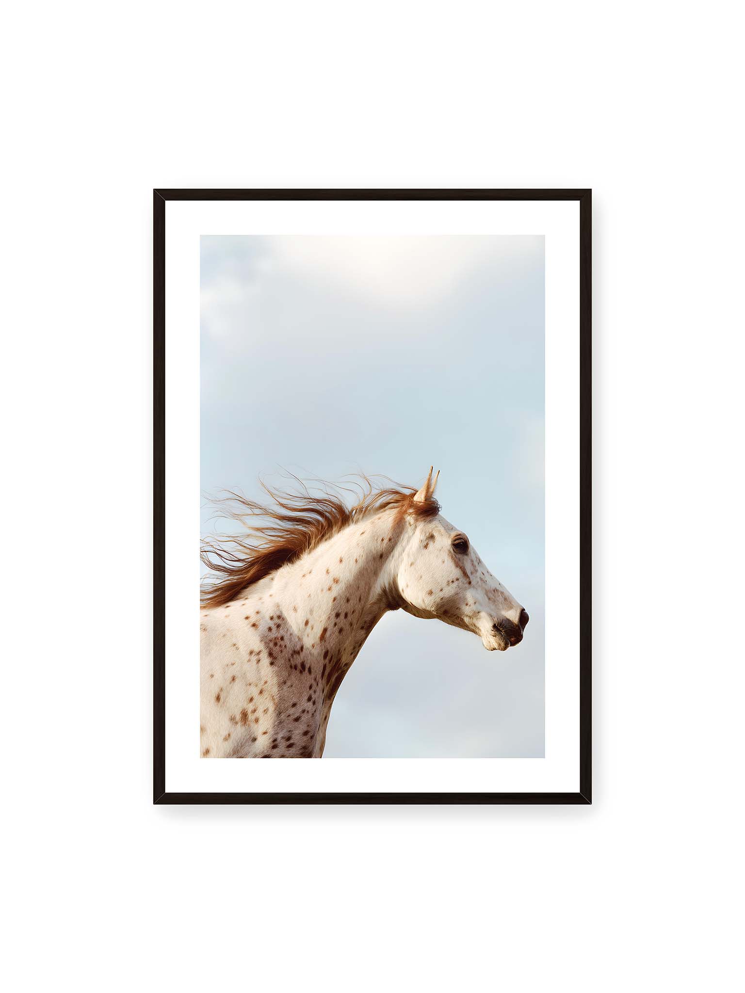 70x100 cm, weißer Galerie-Rand, schwarzer Rahmen – Nahaufnahme eines gefleckten Pferdekopfes mit wehender Mähne vor hellem Himmel.
