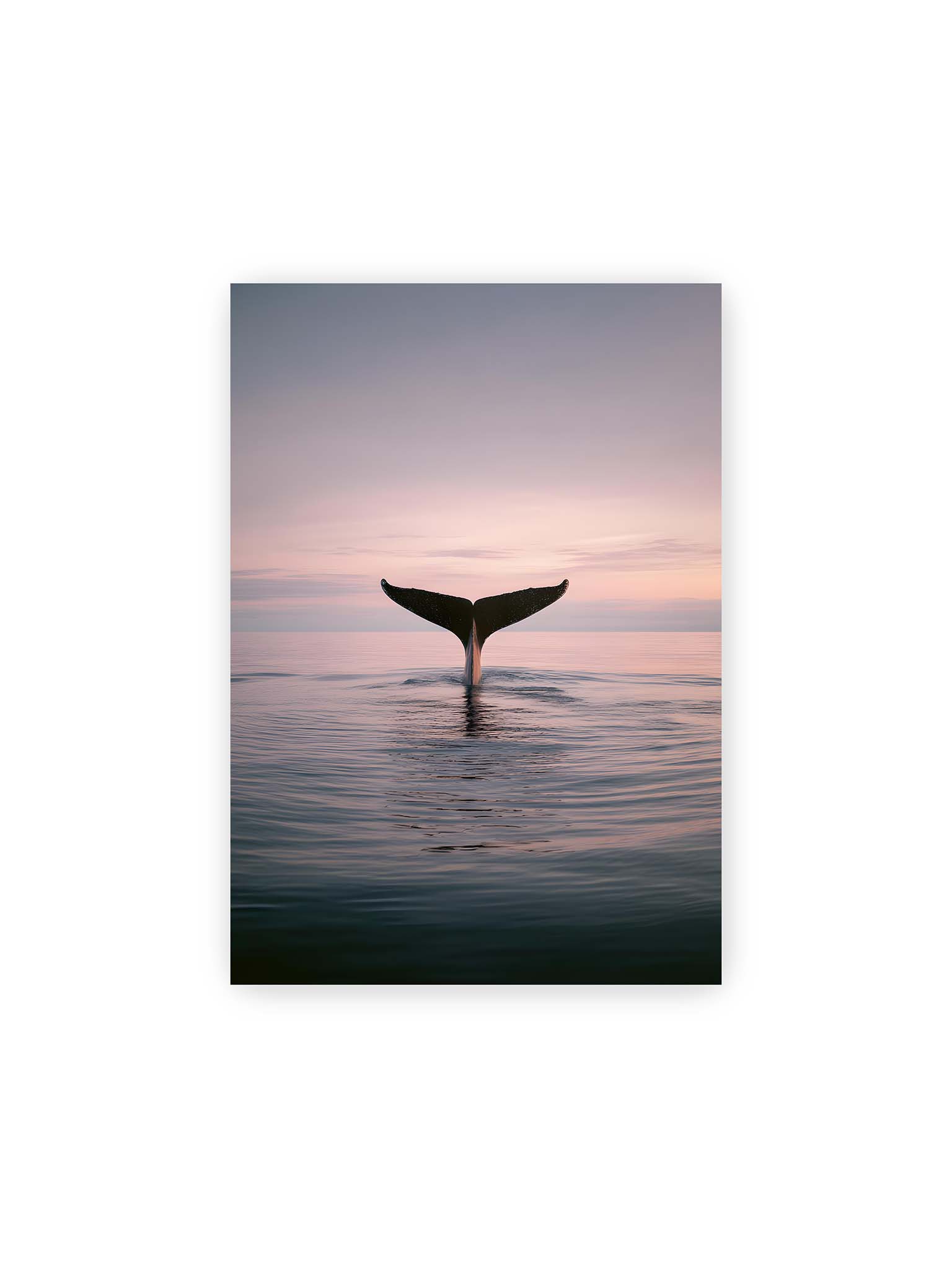 21x30 cm – Walflosse ragt aus ruhigem Meer bei sanftem Himmel und zarten Farbübergängen.