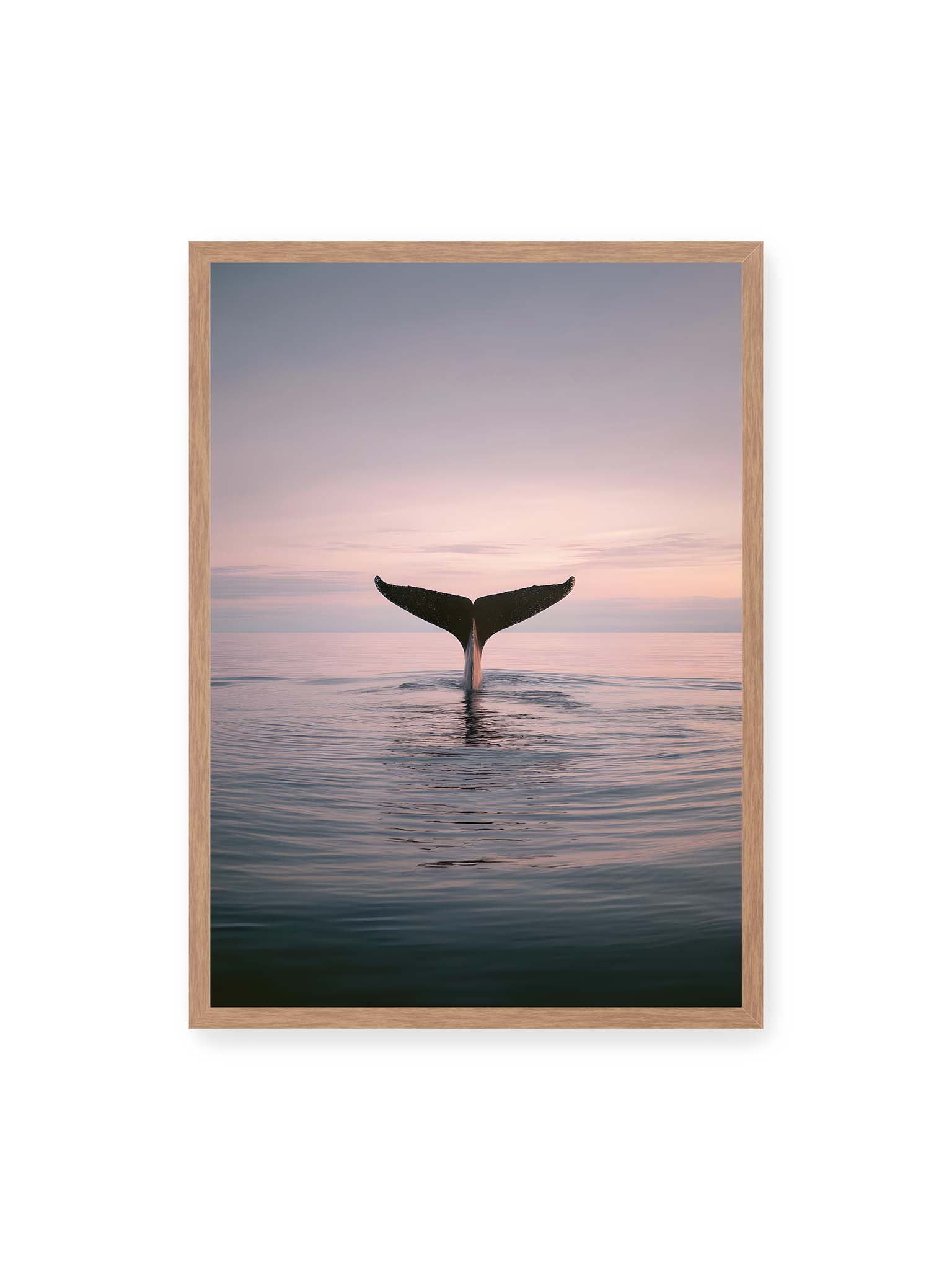 50x70 cm, Eichenrahmen – Walflosse ragt aus ruhigem Meer bei sanftem Himmel und zarten Farbübergängen.