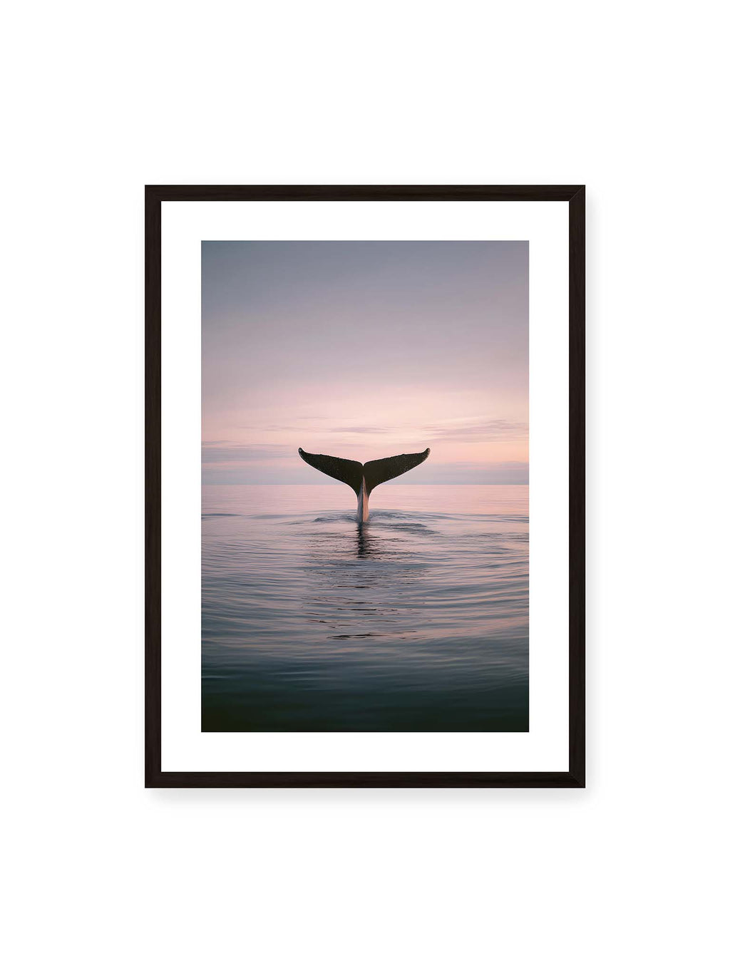 Echo of Departure